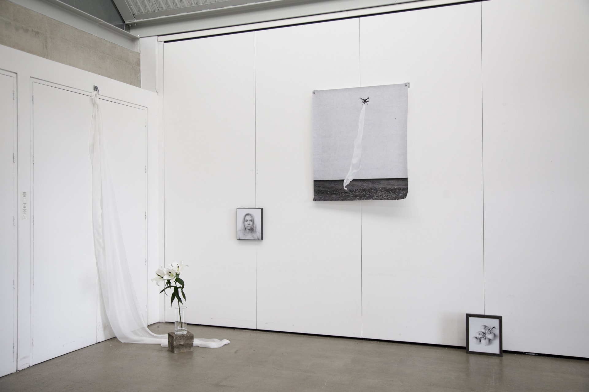 white veil , Installation of 3 m light silk, white lilies and c-type prints