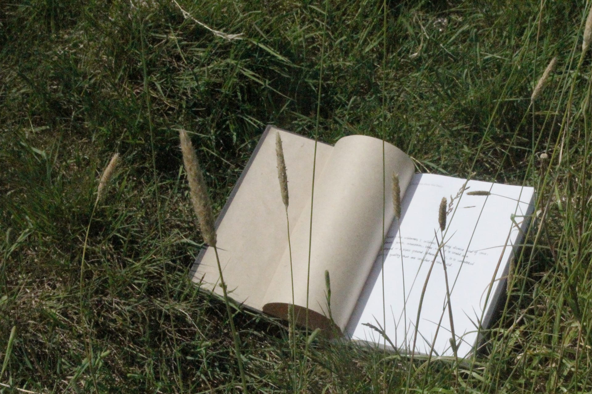 In Search of the Wilderness: Diary, hand-made book