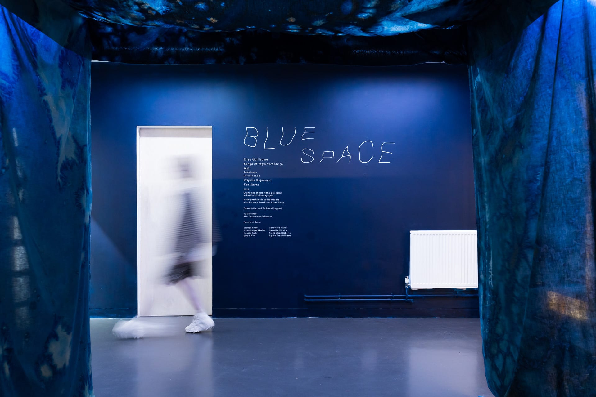 Blue Installation picture of the gallery space showing prints, a blurred person and credits on wall