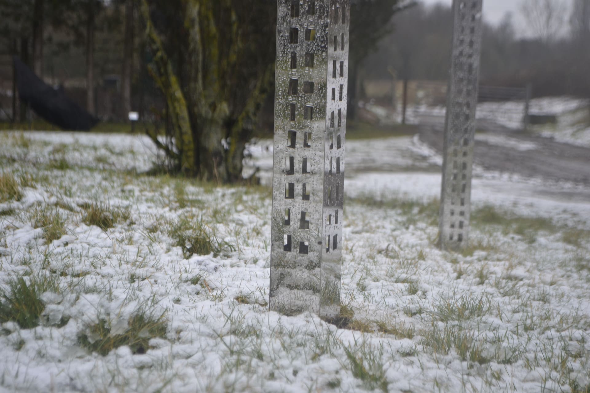 Elongated, tower block forms crafted from mirrored stainless rise out of the suburban sod. 