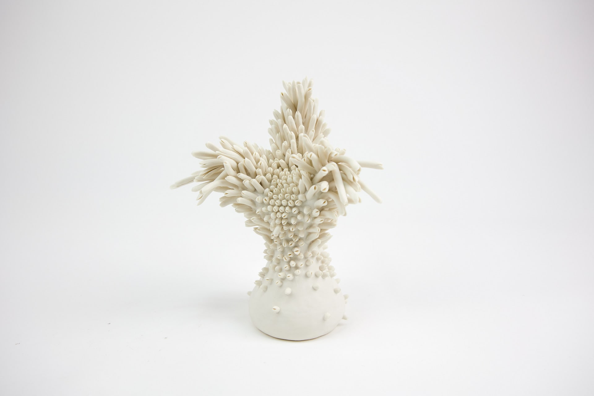 A porcelain trophy like a bird spreading its wings