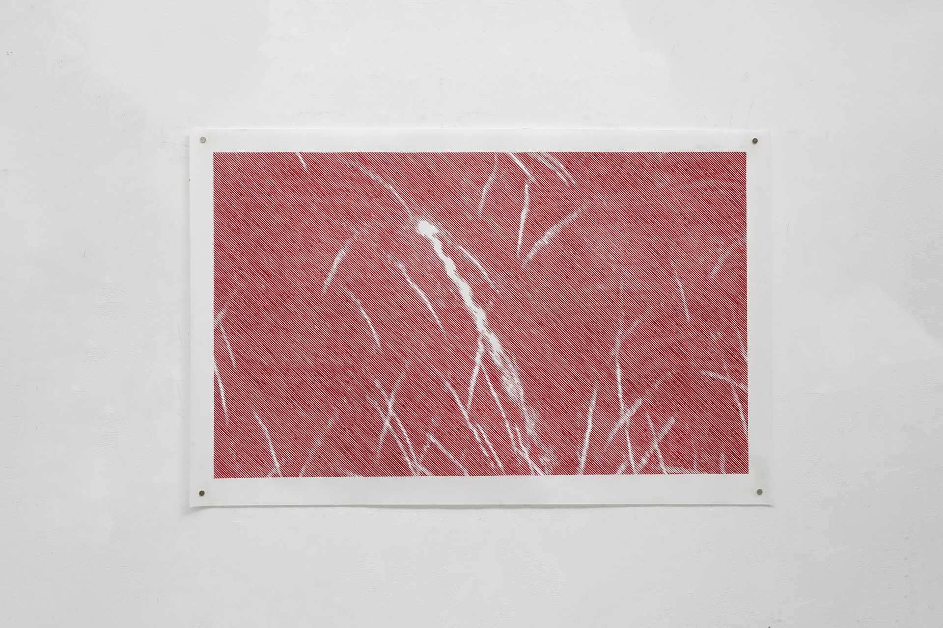 Woodcut, Hand printing with lithography ink on Chinese Xuan paper, 104cm x 66cm