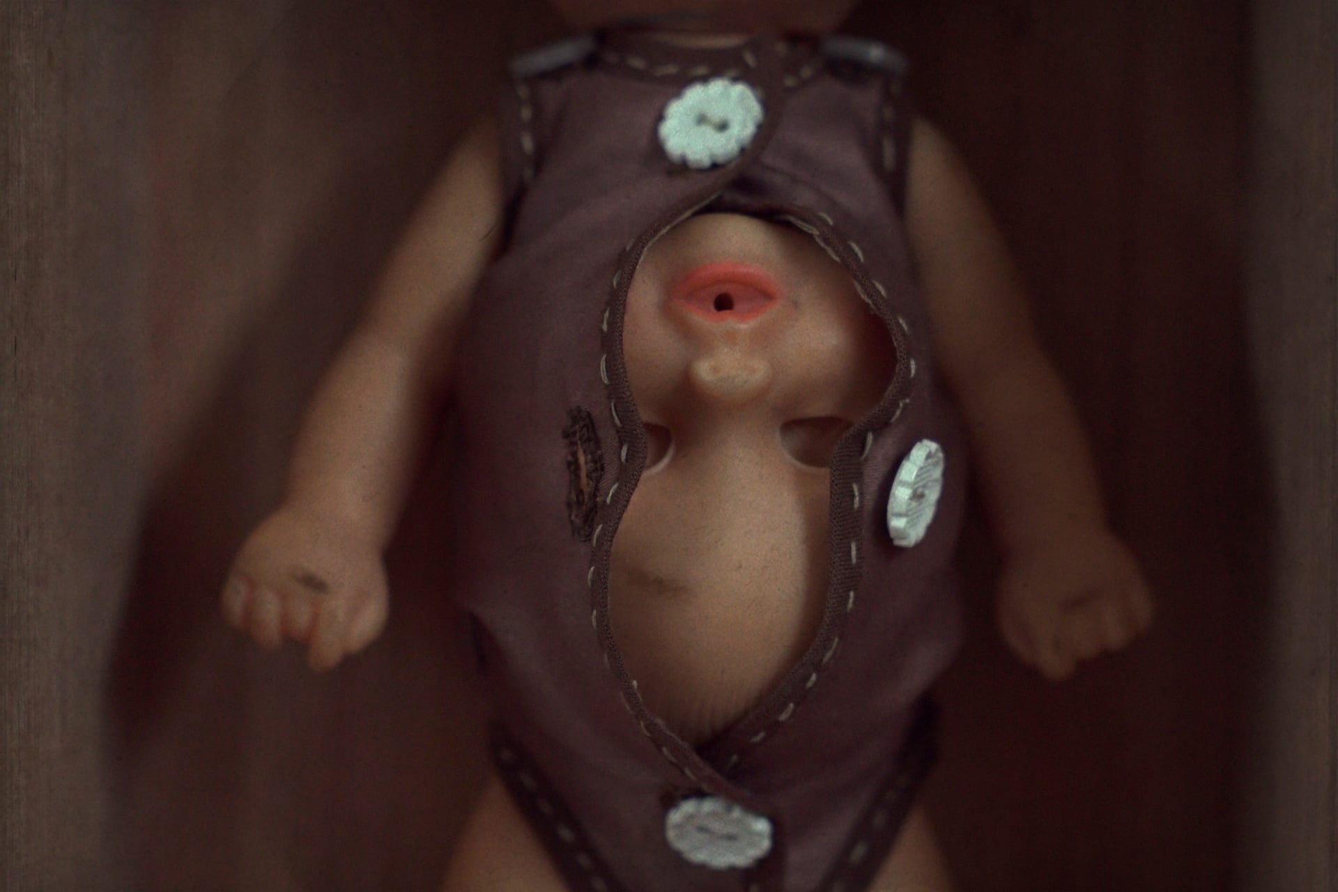 a photo of a baby doll.