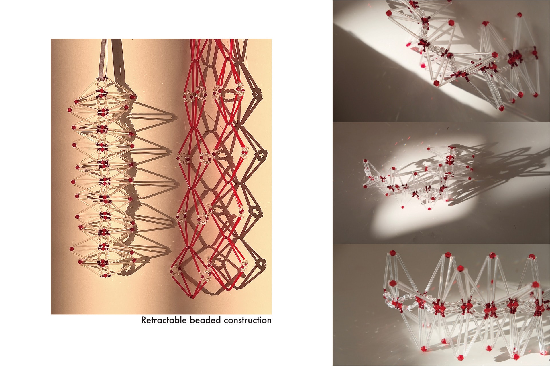 he vessel structure inside the plant can be expressed by the structure of beads.