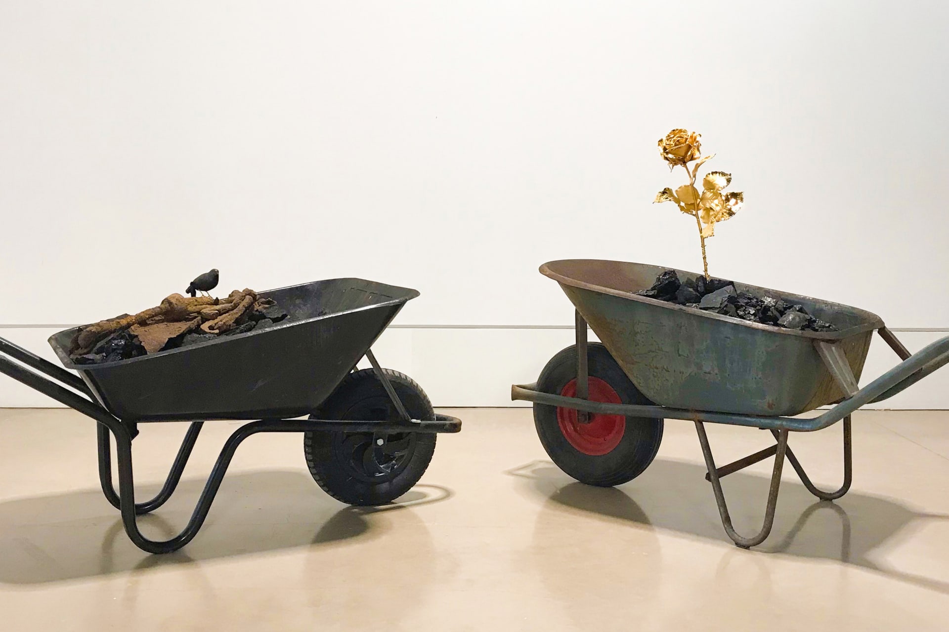 Two rusty old wheelbarrows, filled with black coal. One features a life-size golden rose, the other a black small bird.