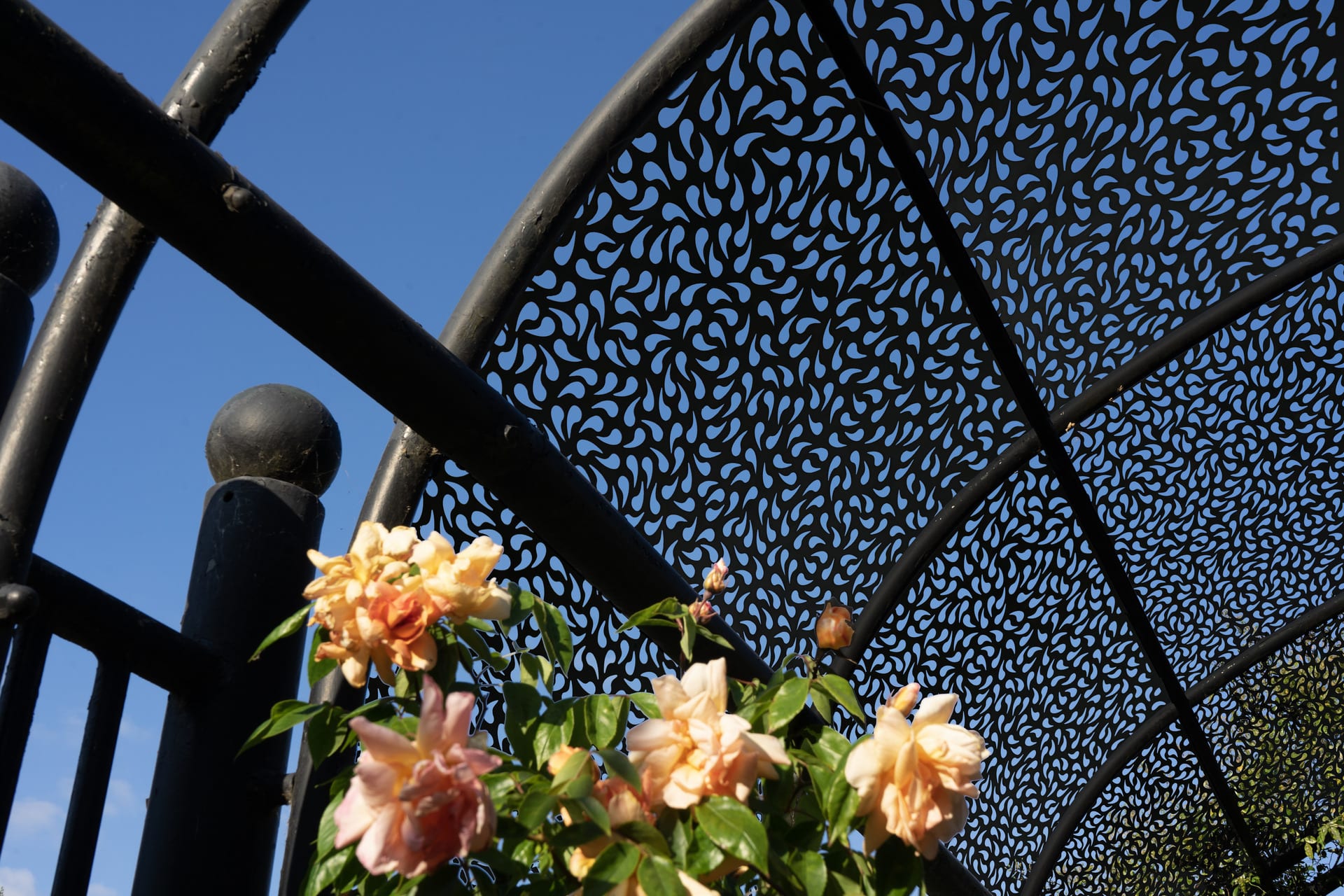 rose tunnels with rose patterned panels