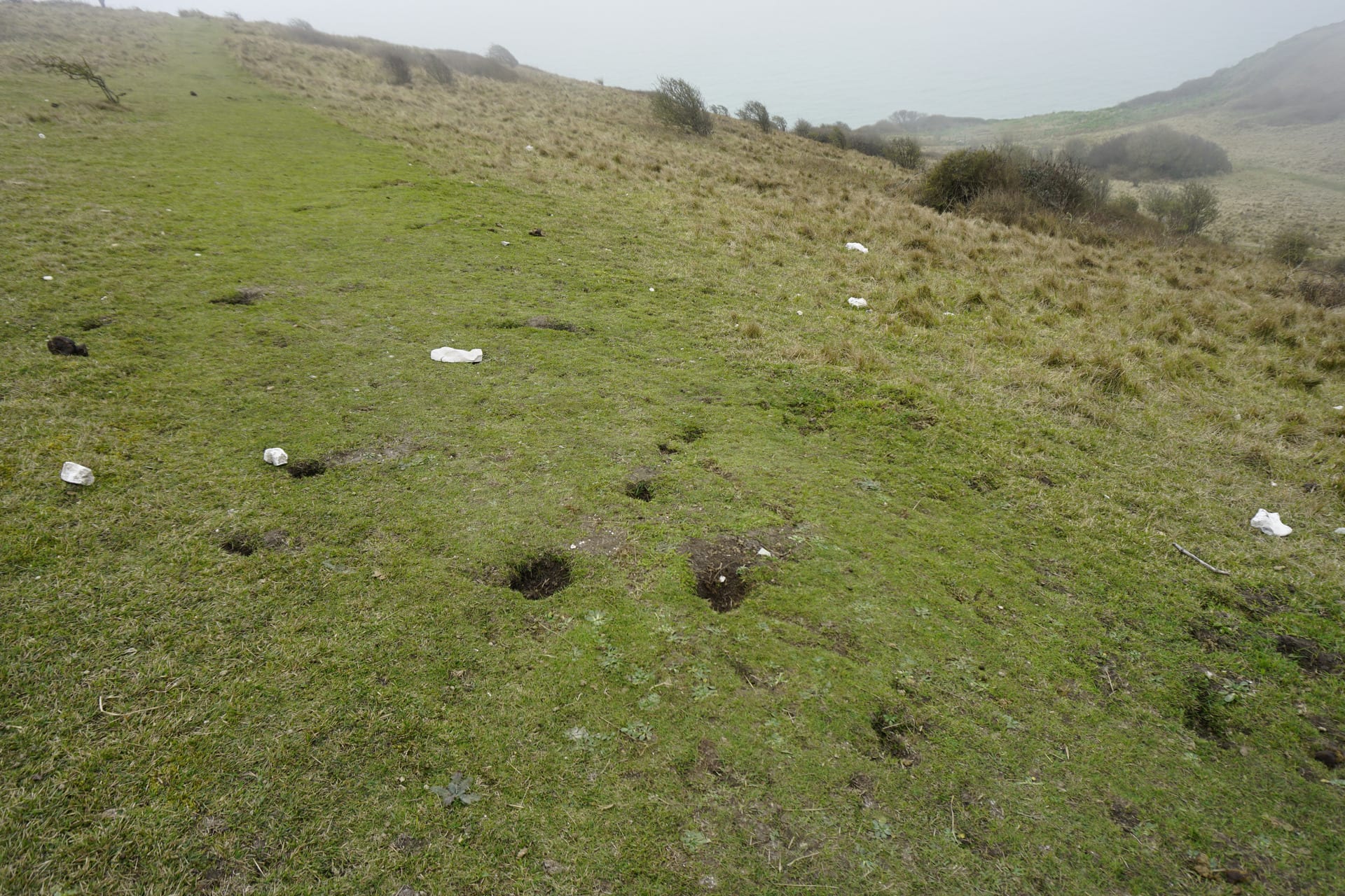  temporary installation in the nature