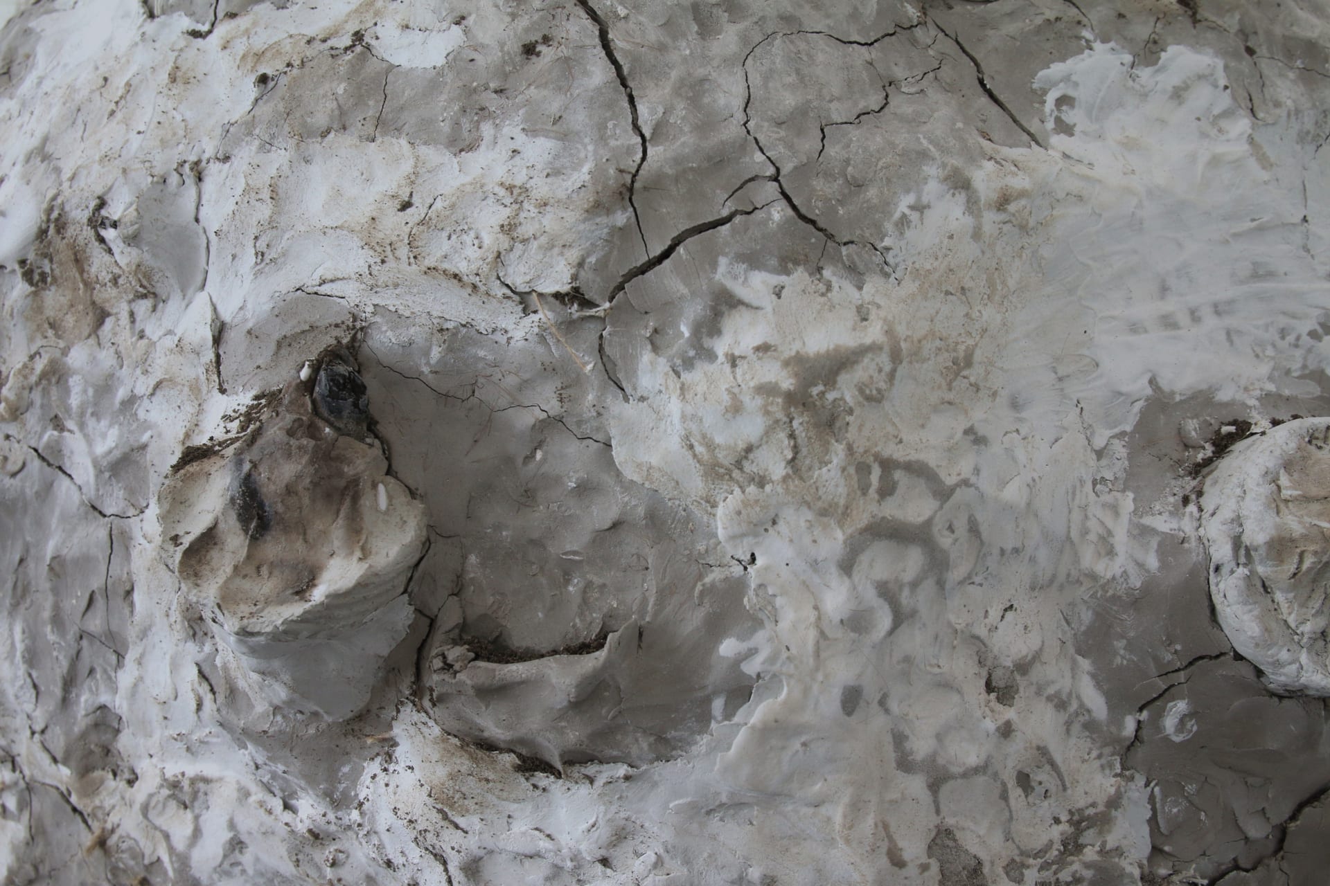 A close up of the central spherical sculpture showing the surface of cracked clay and burnt twigs.