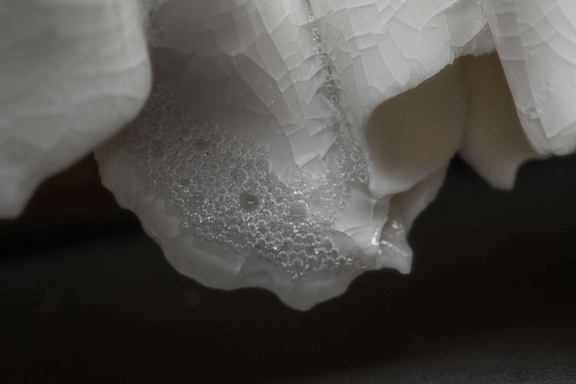 detail, white porcelain crackled glazed 