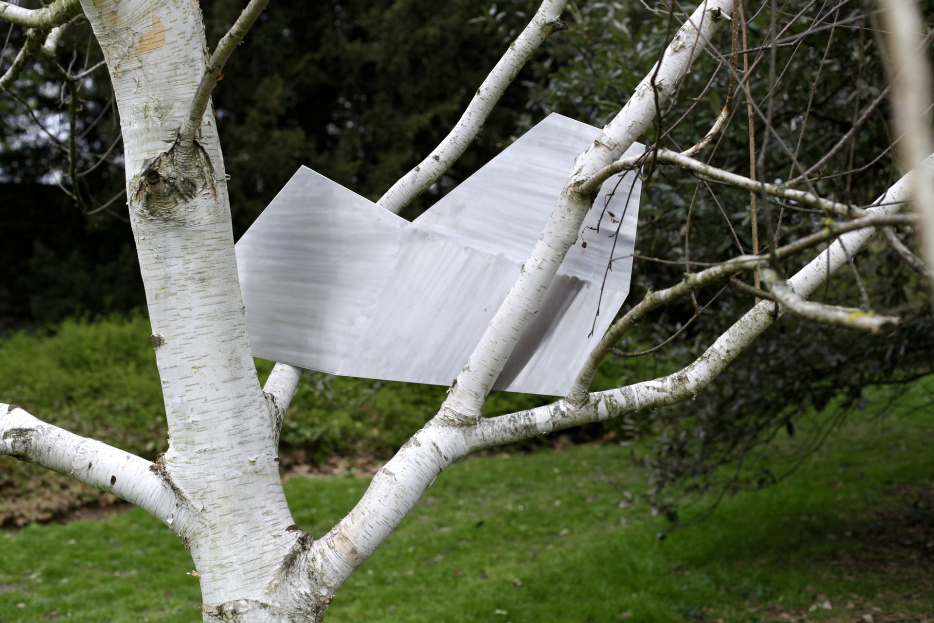 metal steel tree white abstract