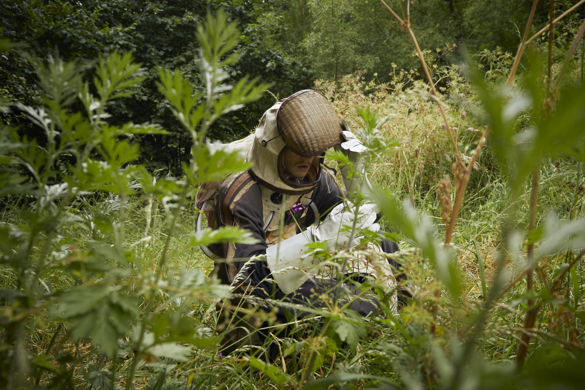 The Apionaut inspects a flower, surrounded by mugwort and sweet cicely.