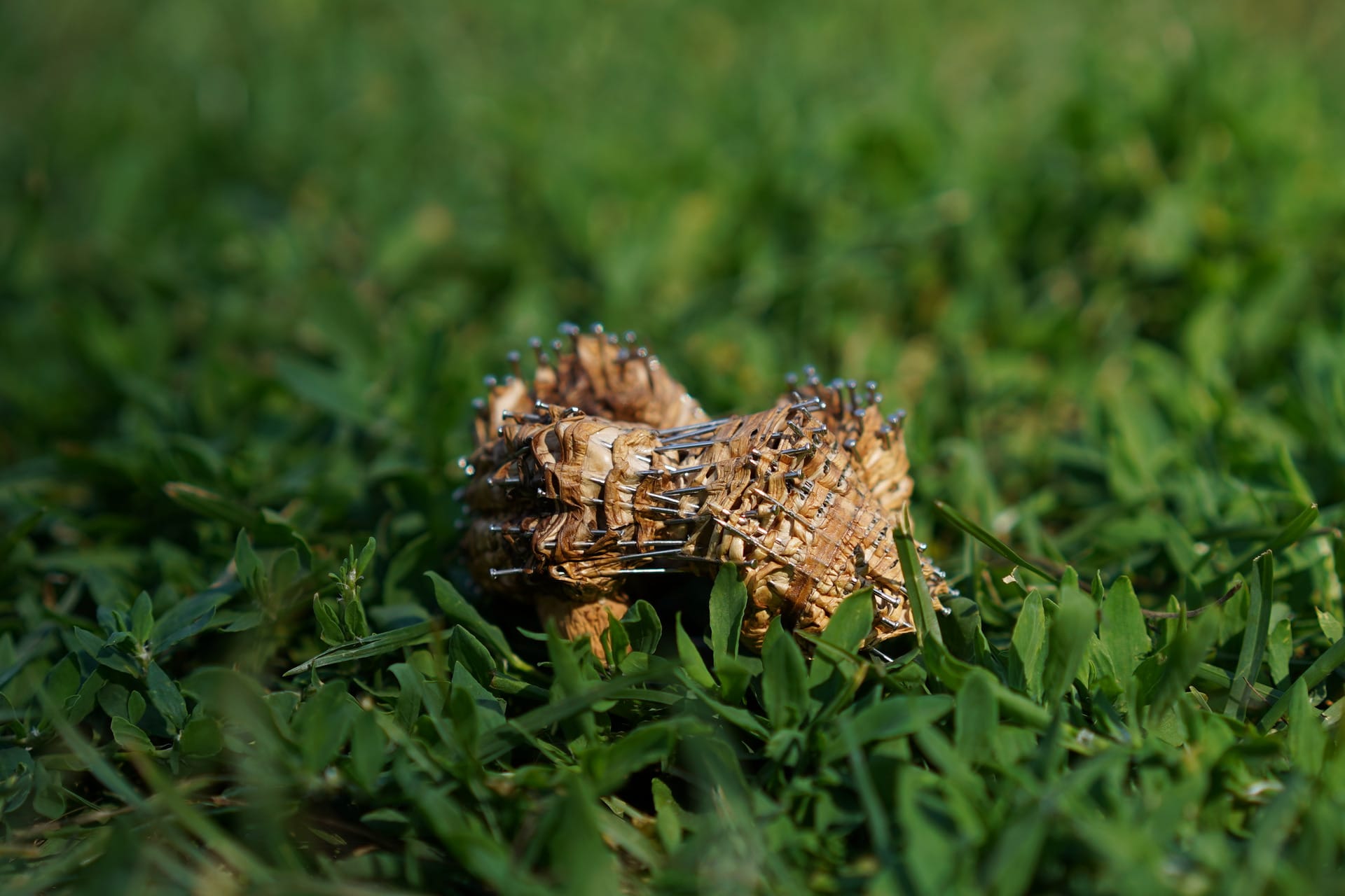 nail modified mushroom