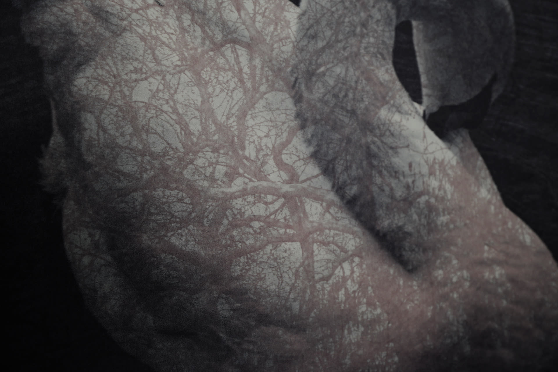 Resonant Echoes 
