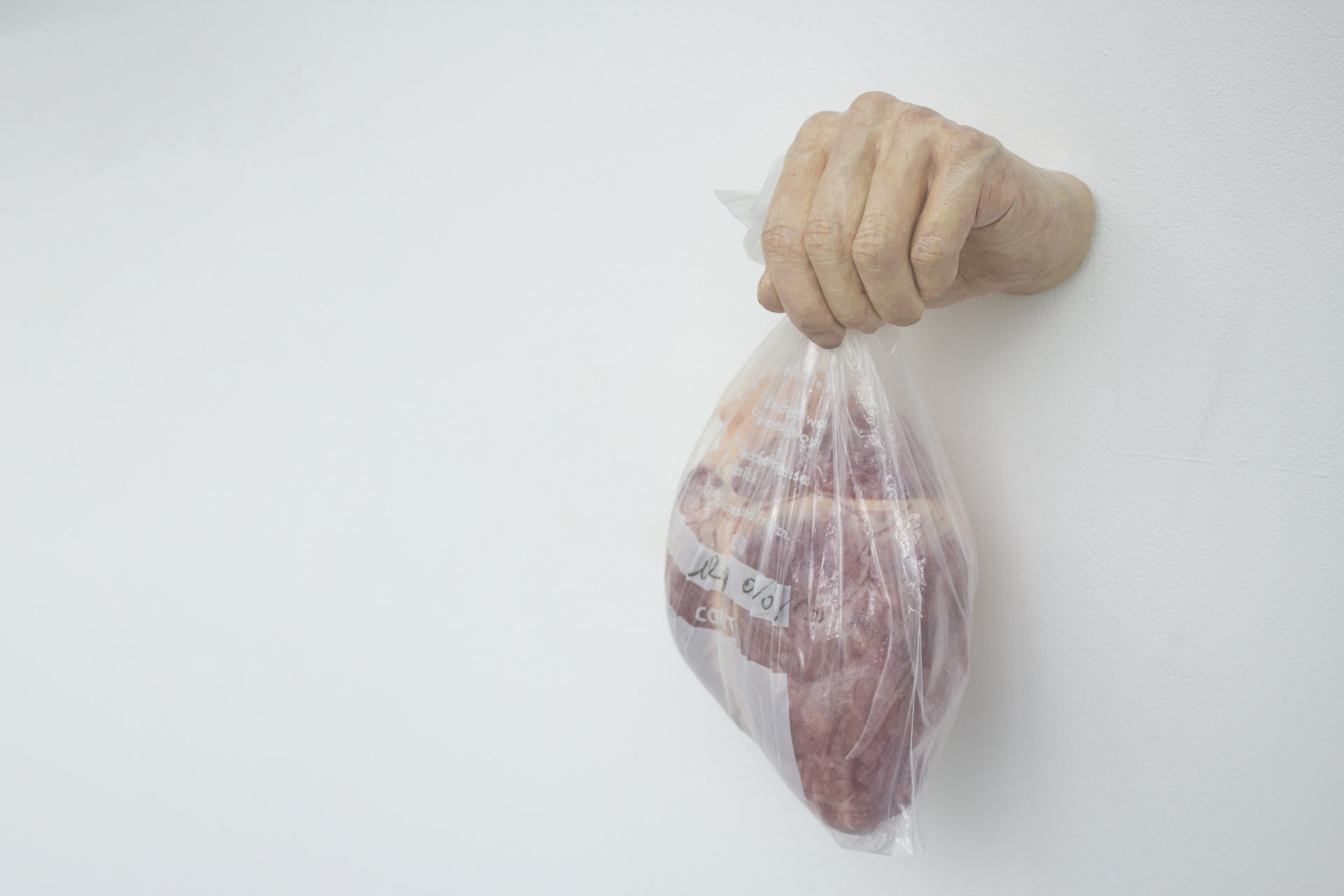 Animatronics Sculpture Pig Heart Transfusion Hand