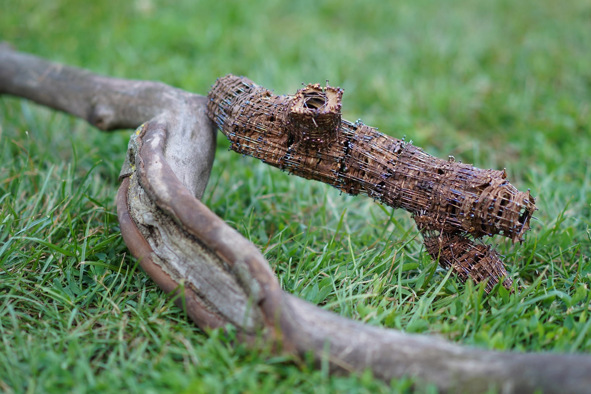 mushroom branch object