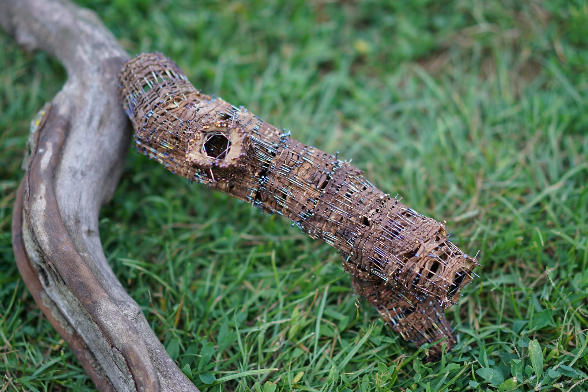 mushroom branches