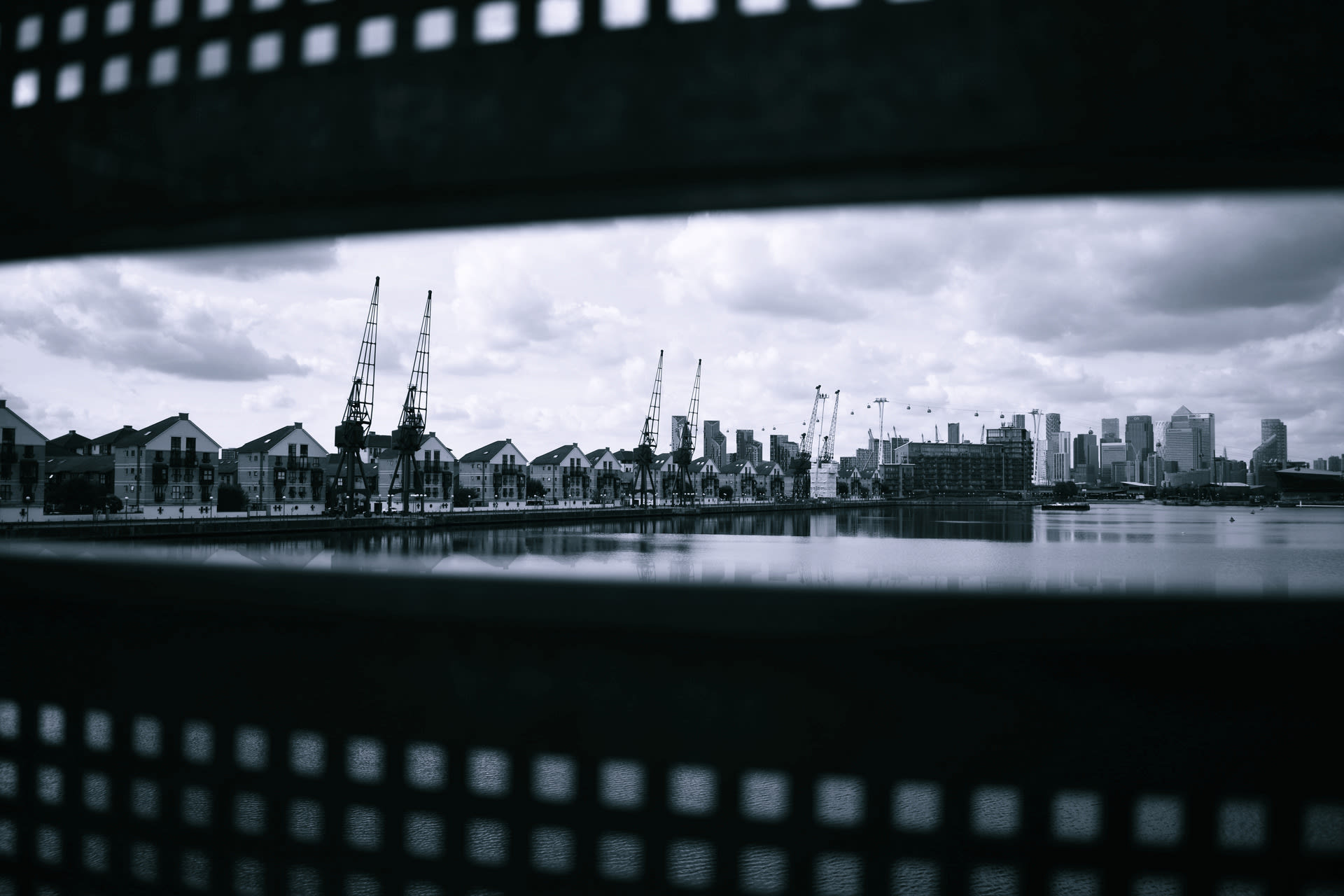 Cranes | Digital Photography