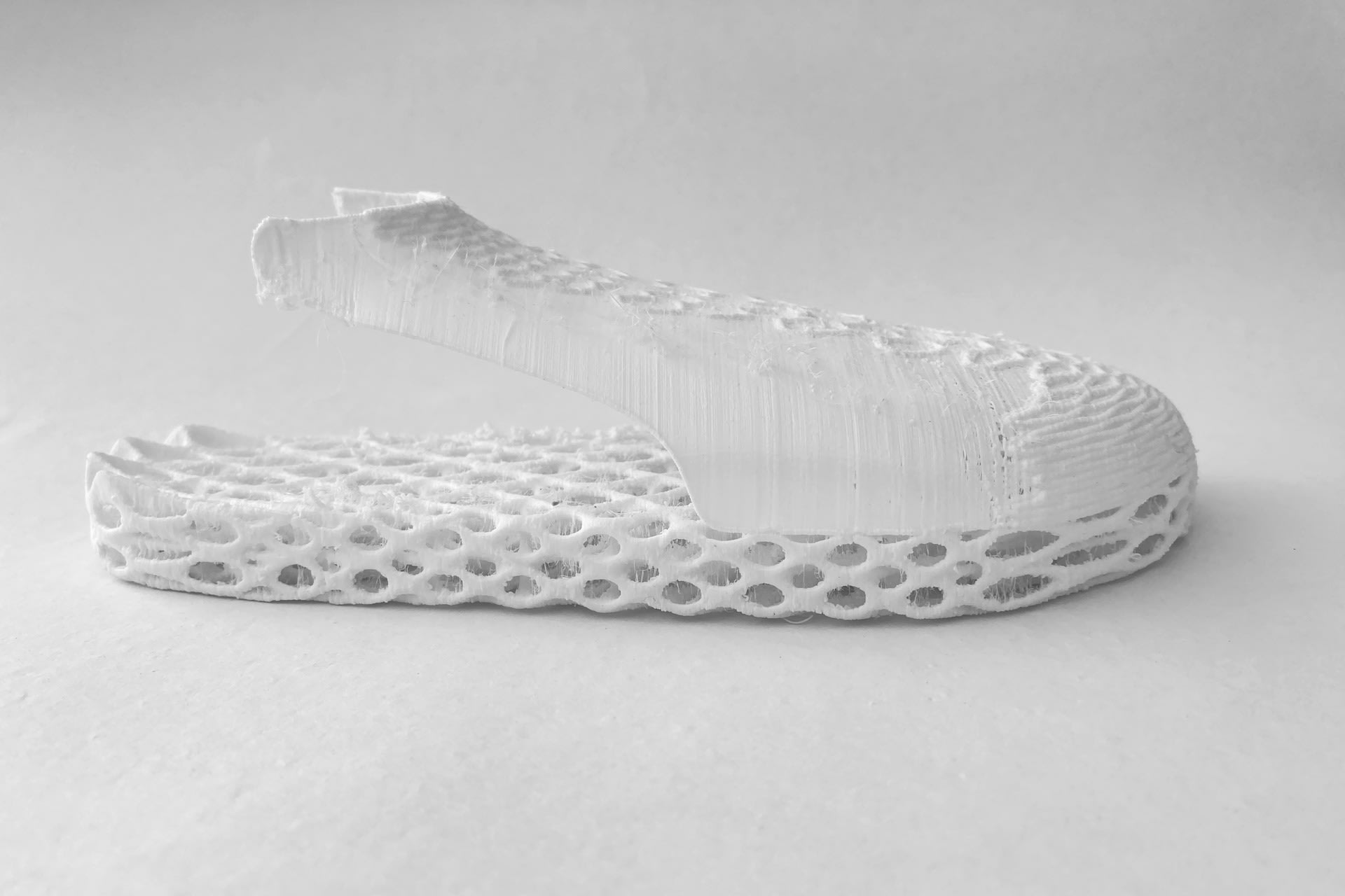 3D Printed Shoe