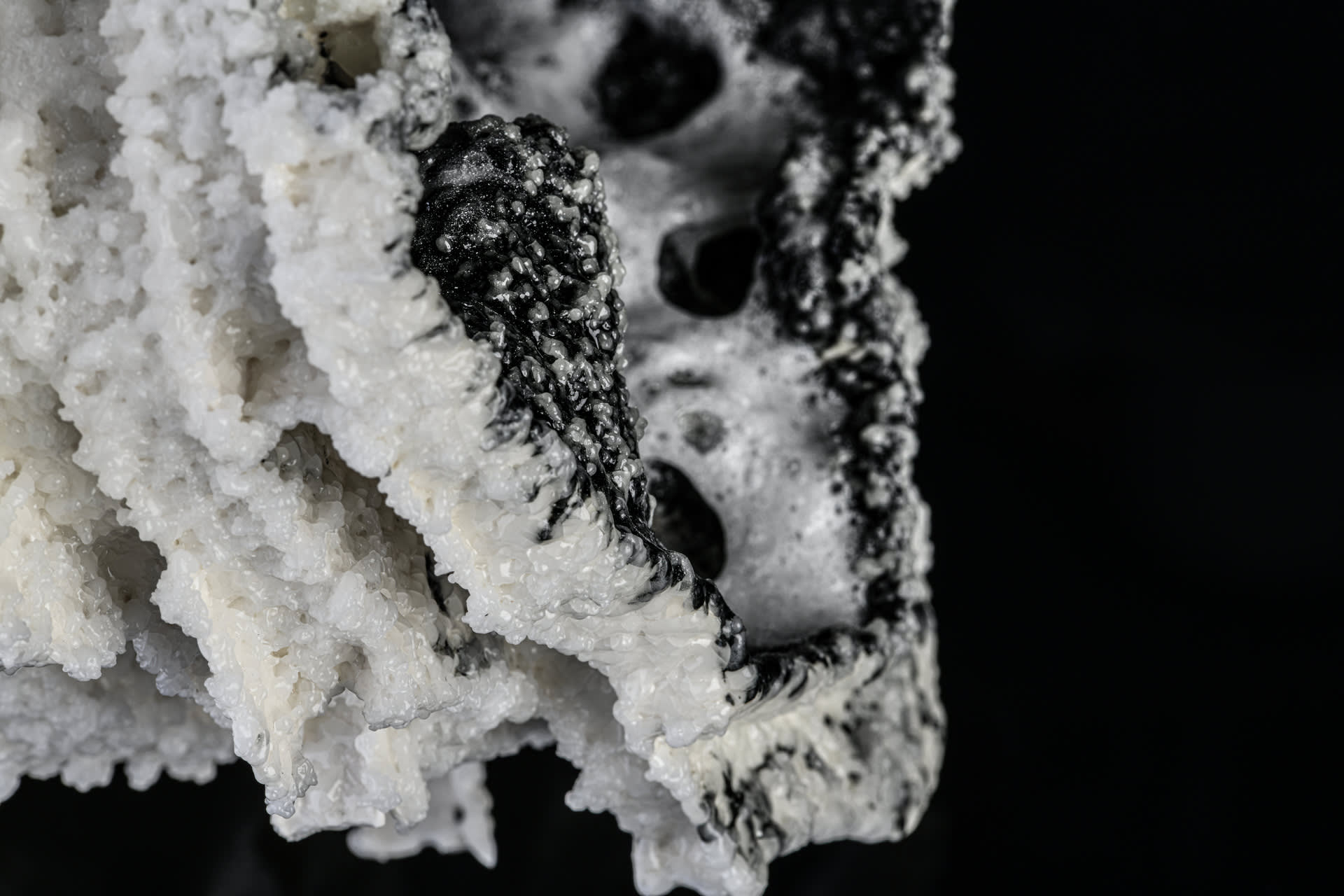 detail, black & white porcelain textured glaze like floating crystals salt