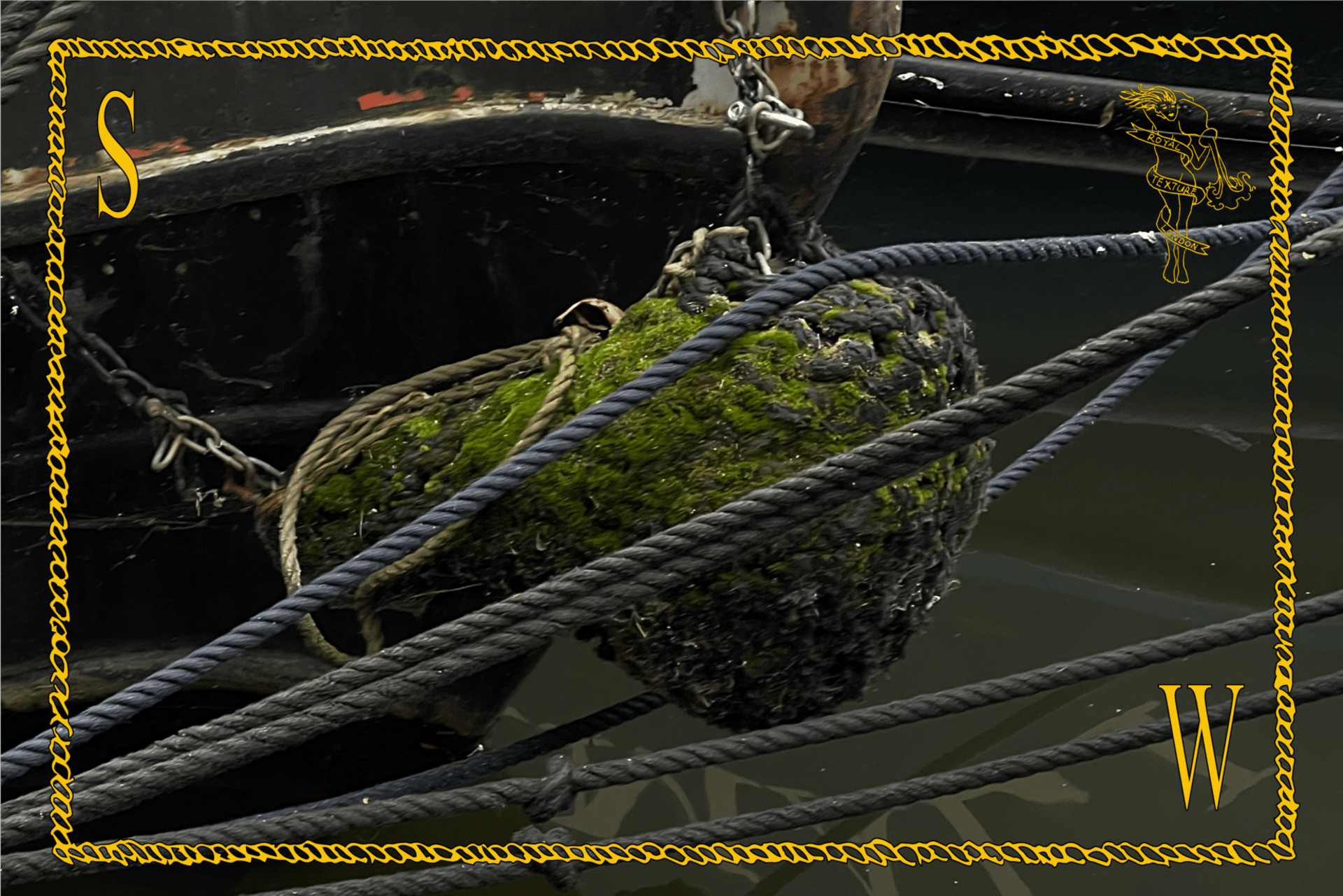 Striking yellow personal identification around intertwined moss-covered reins on the water.