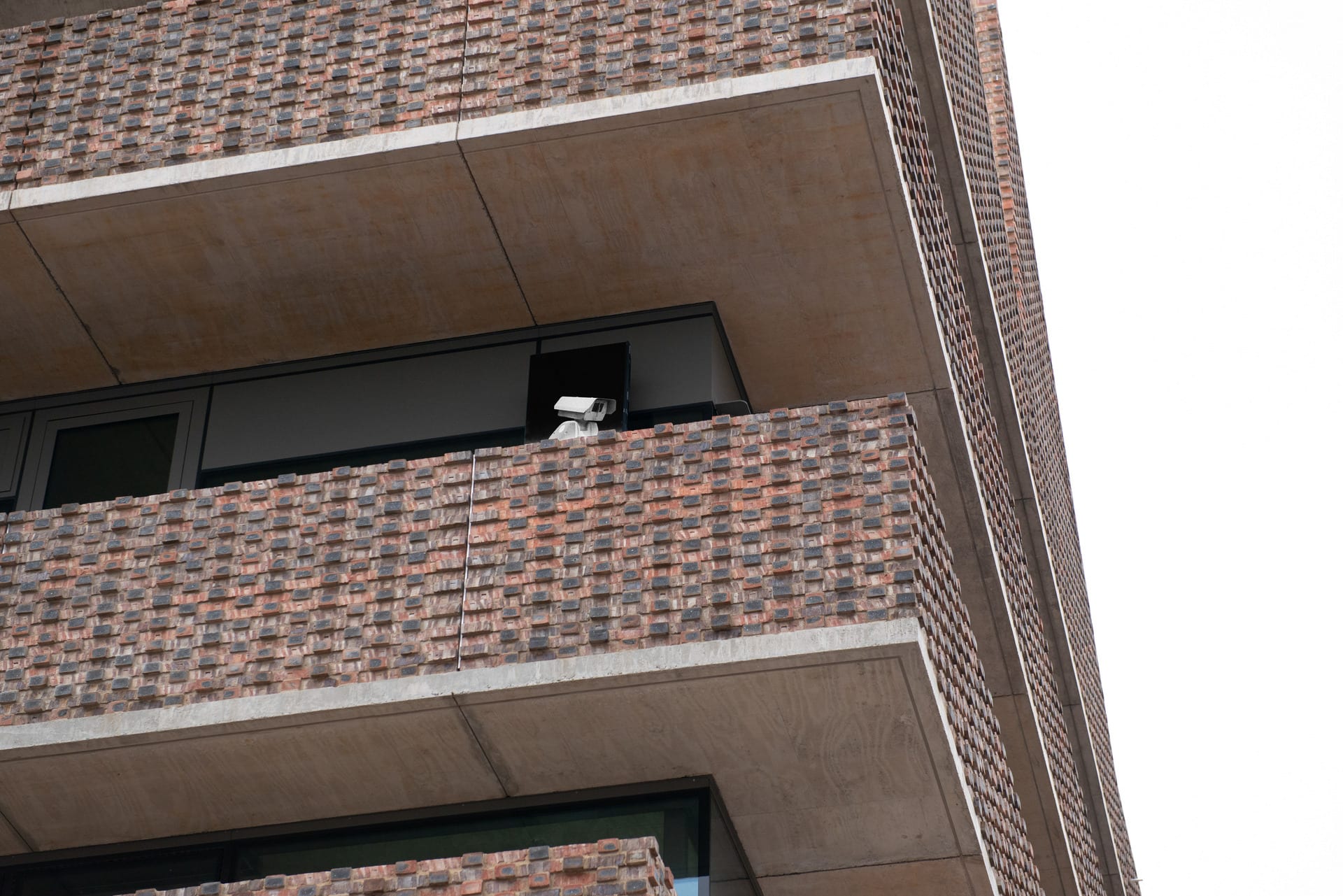 An OWL was spotted perching on the 2nd floor of the Studio Building.