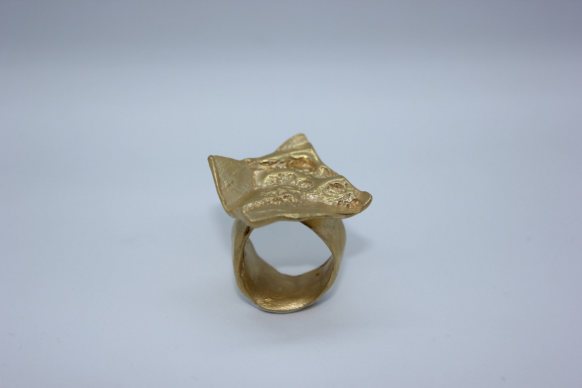 Identity Ring, Sterling silver, photograph and enamel pigments.