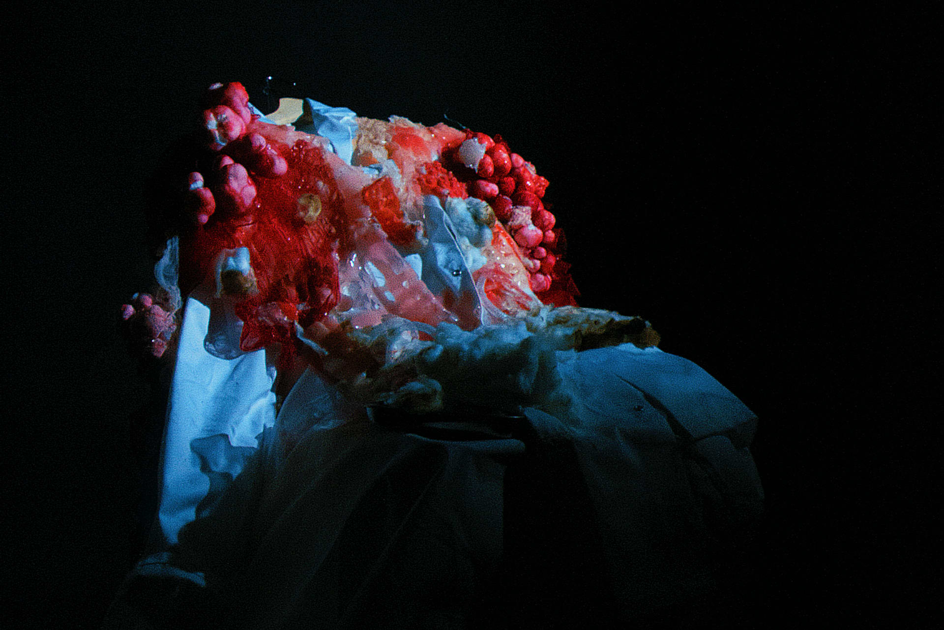 PANDEMIC - Flesh, blood and bones