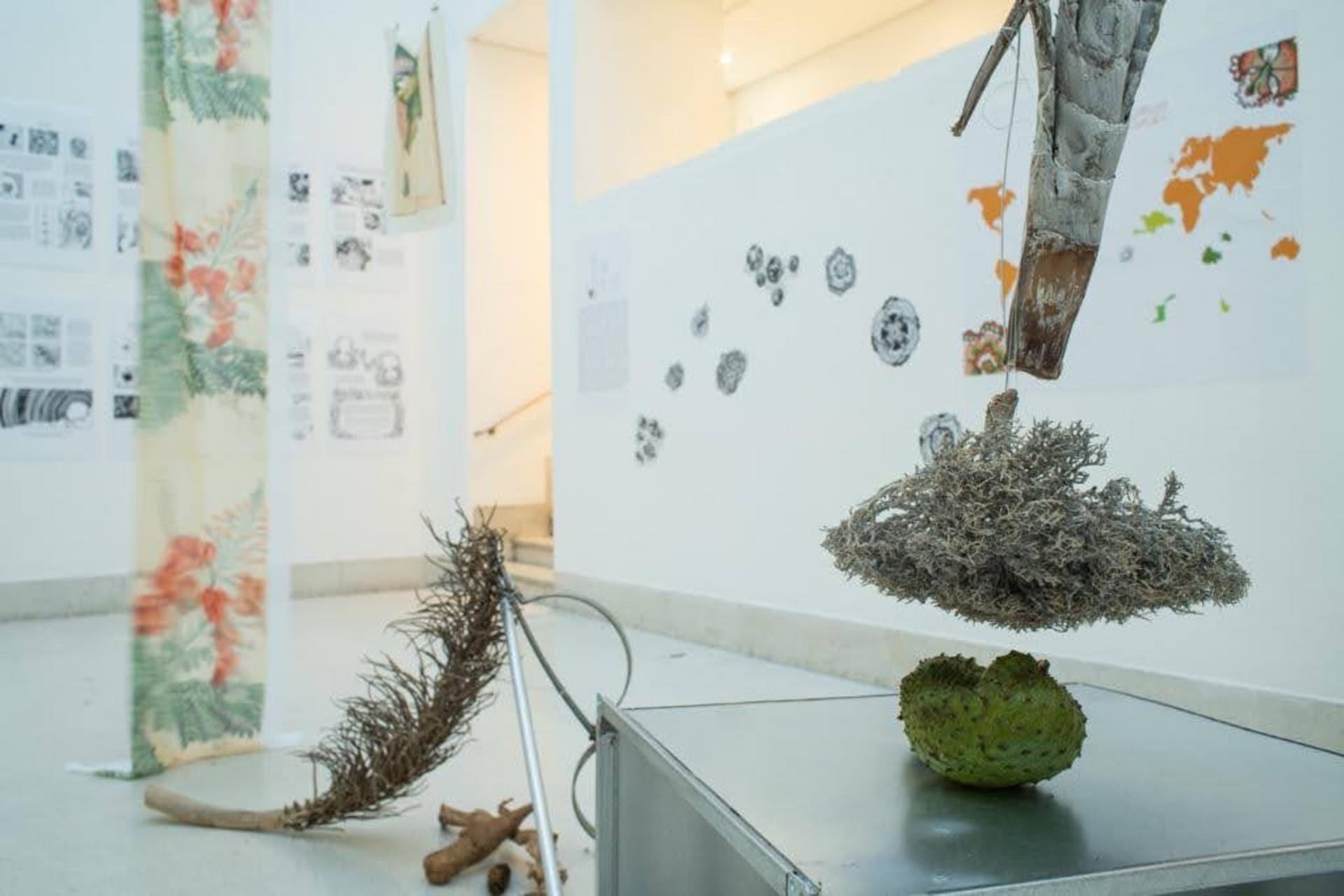 Botanical sculpture in the forefront with soursop plant and wood. Background has comic strips of information and fabric drapery