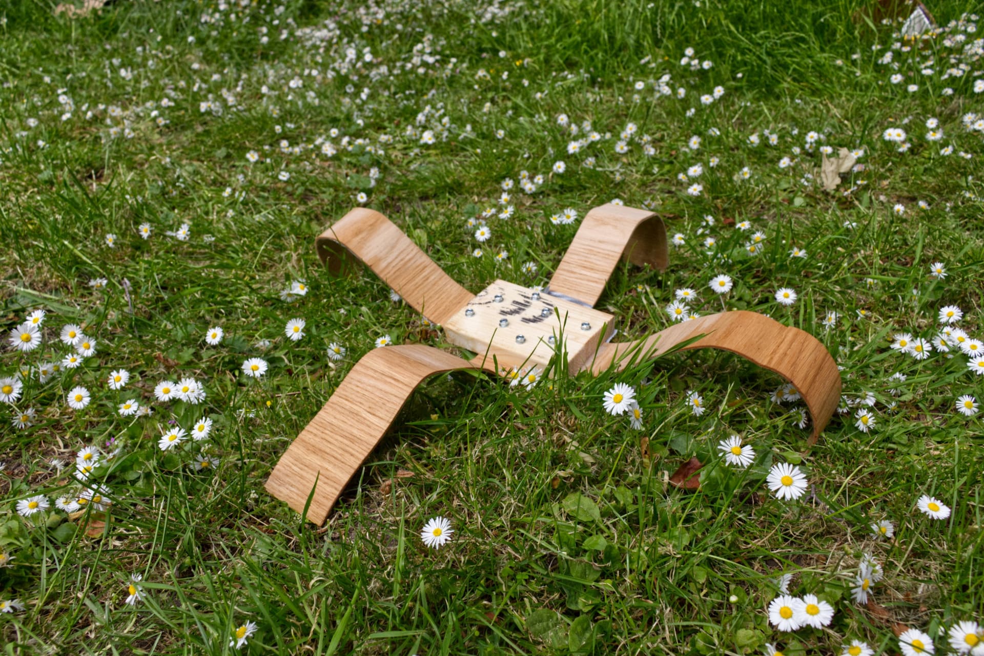 Spider hygromech in grass