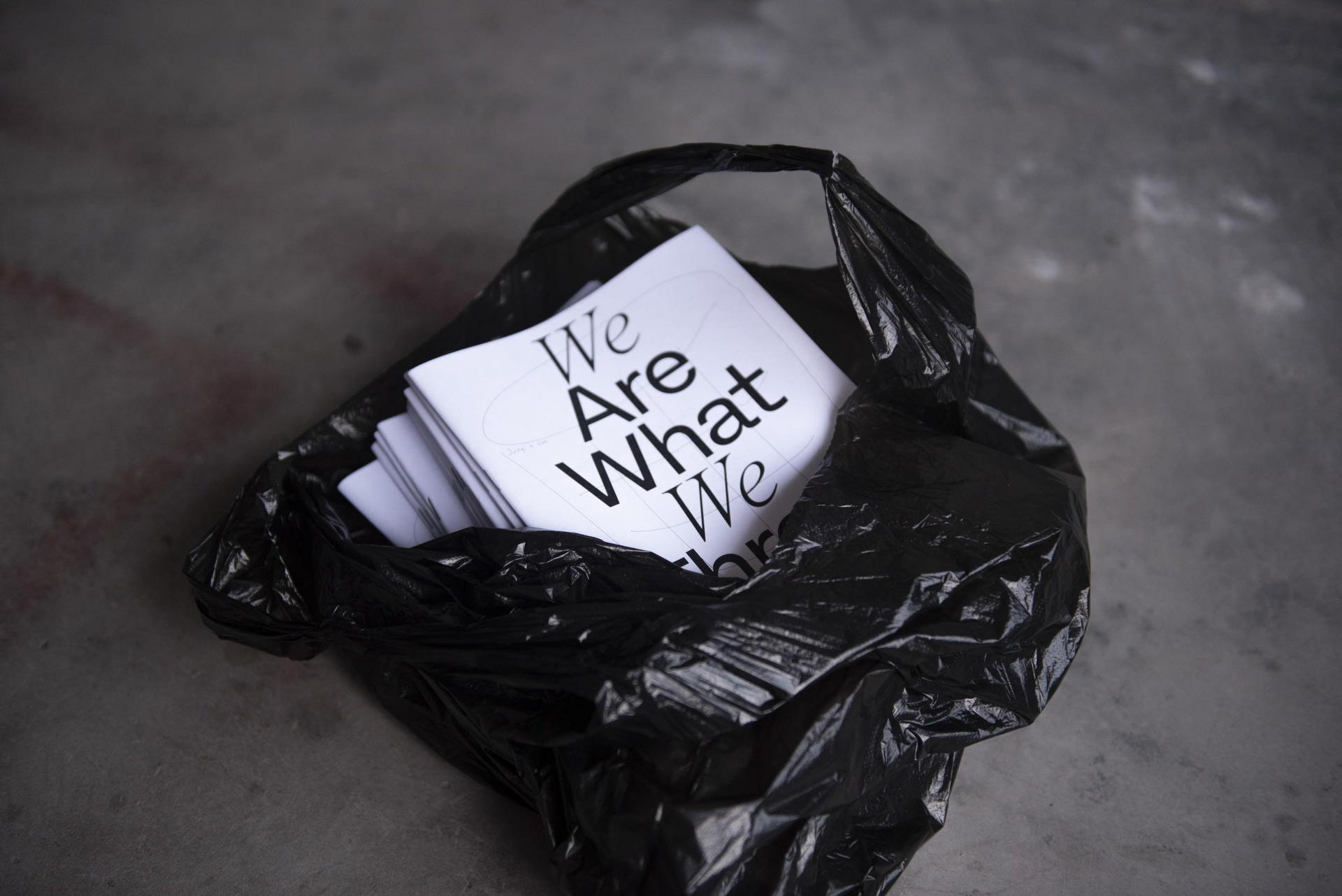 We Are What We Throw Away, media item 1