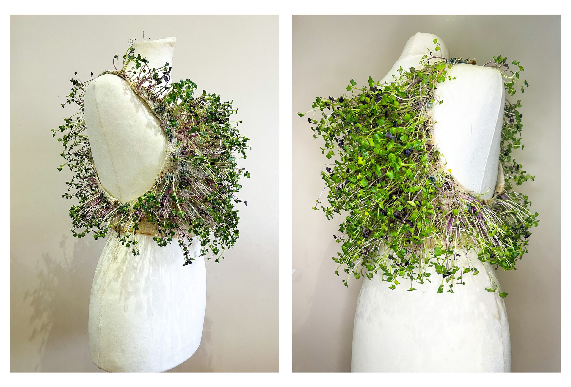 two images of growing plants knitted vest top on dress stand. left angled to front; right angled to back