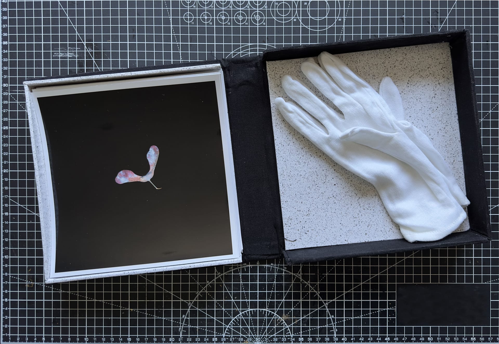 An image of a box with photographic prints on the left and white gloves on the right.