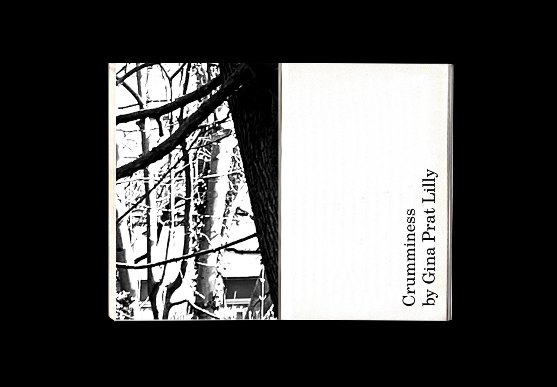 Open spread of book. Black background. Verso, black and white image of trees and vegetation. Recto, "Crumminess by Gina Prat Li