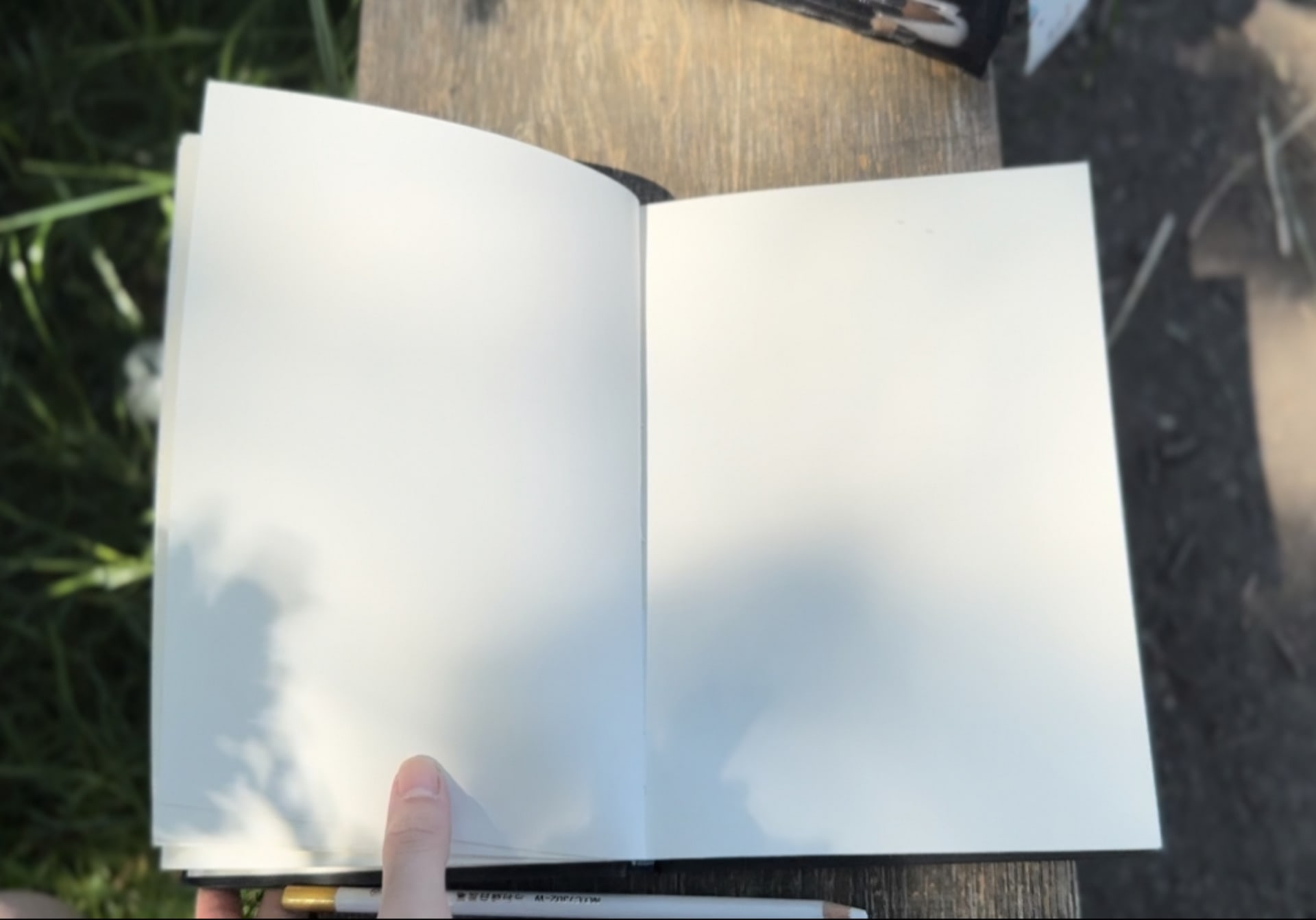 documentation of shadow movements 