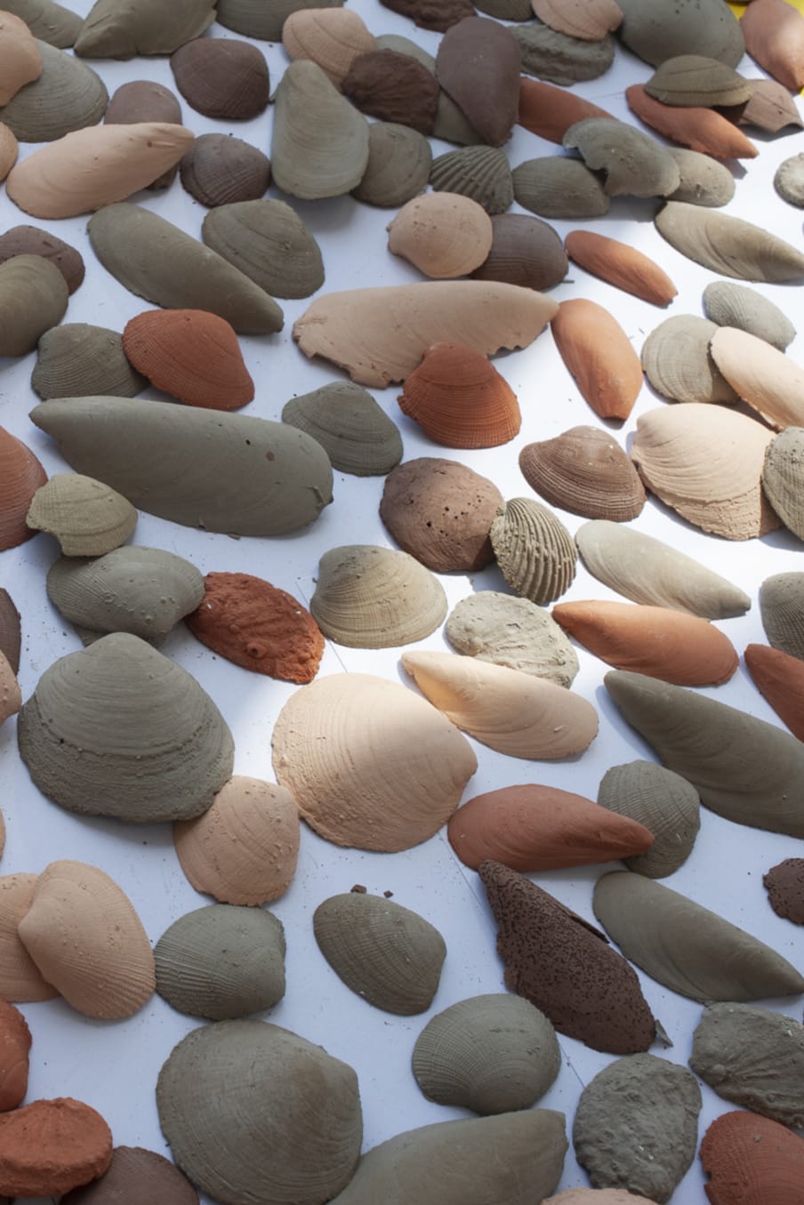 A Taxonomy of Bivalves, 2022, Unfired clay, Terracotta, and buff ceramics, 7cm x 4cm 