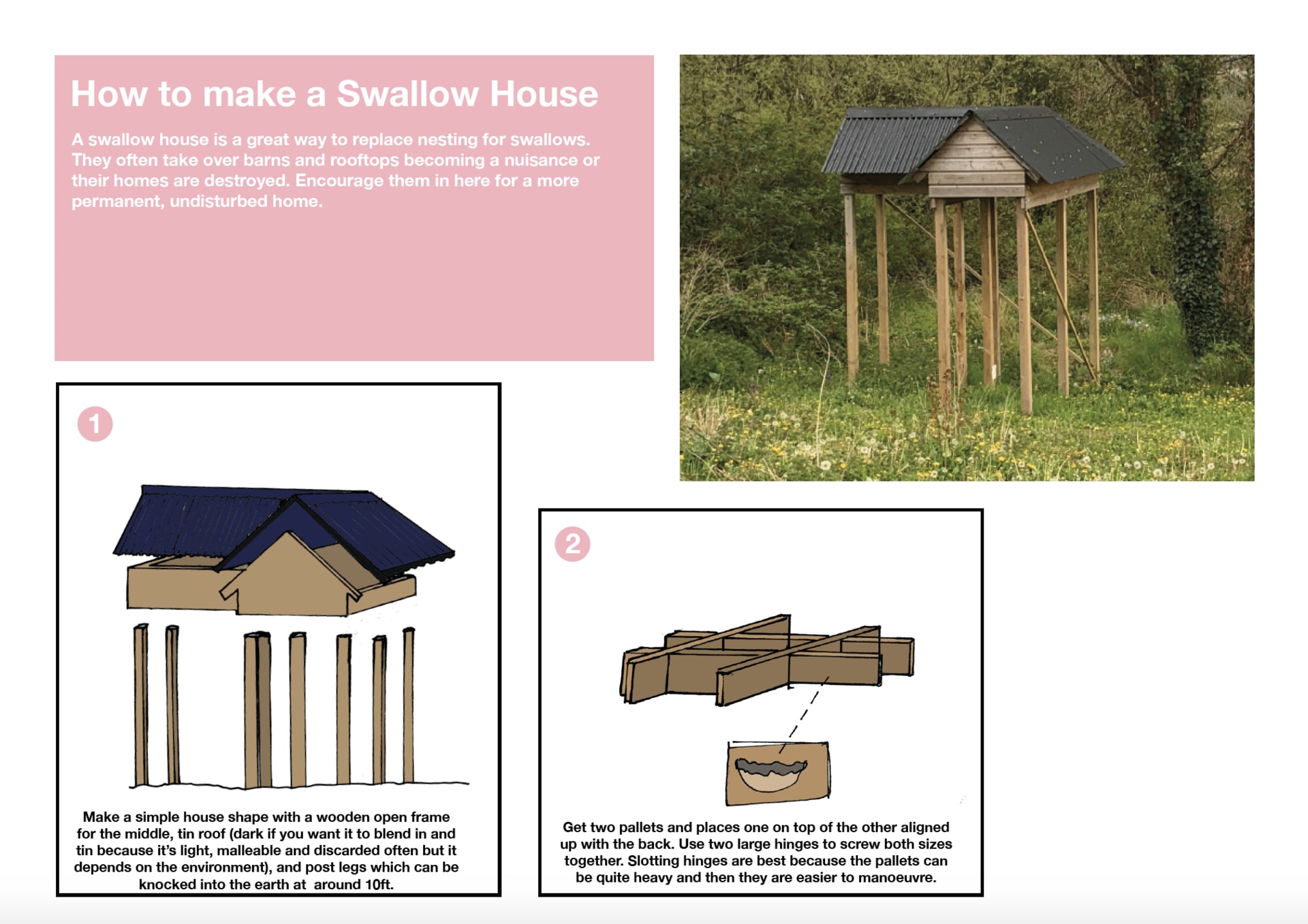 A swallow house 