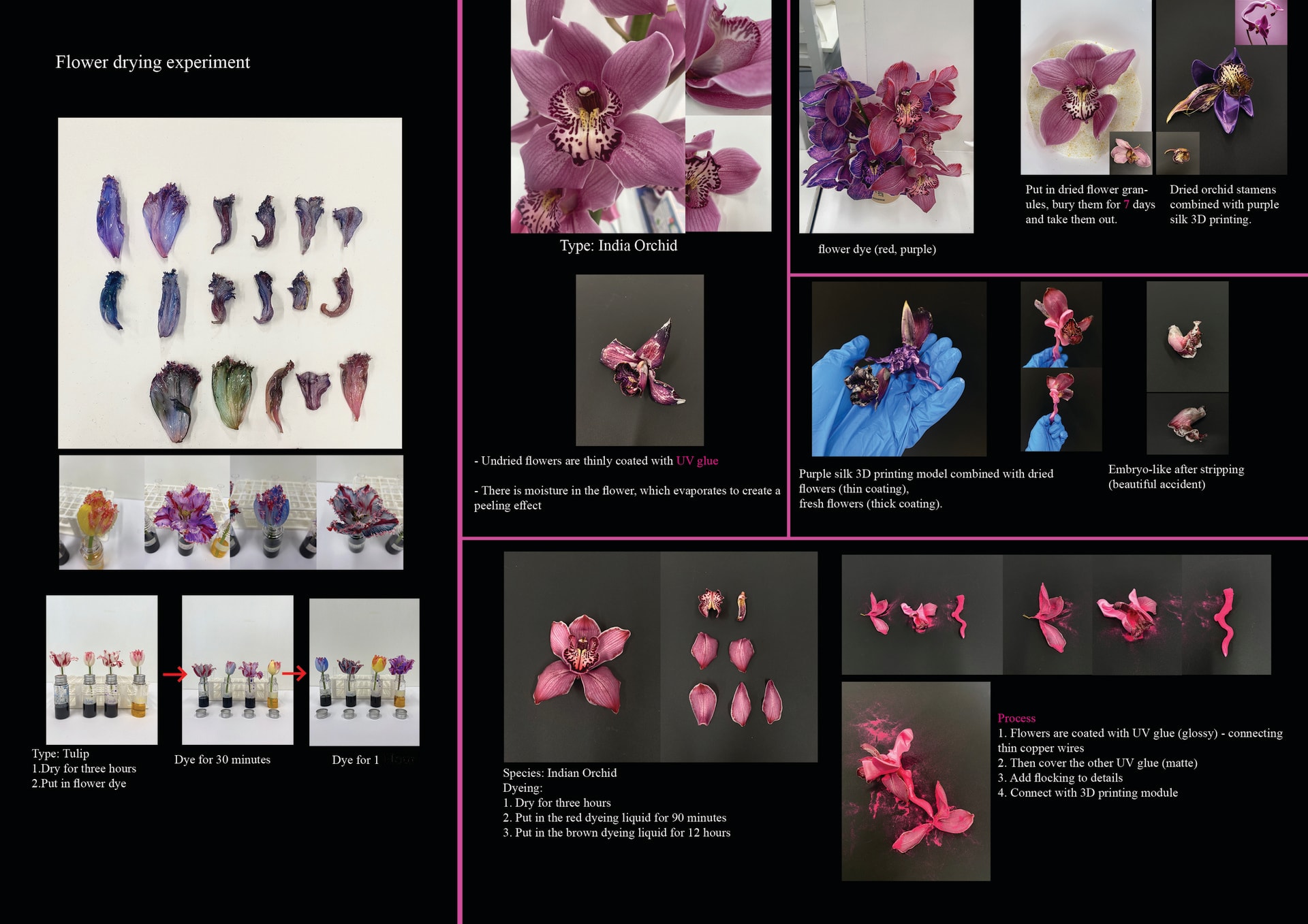 Flower drying experiment