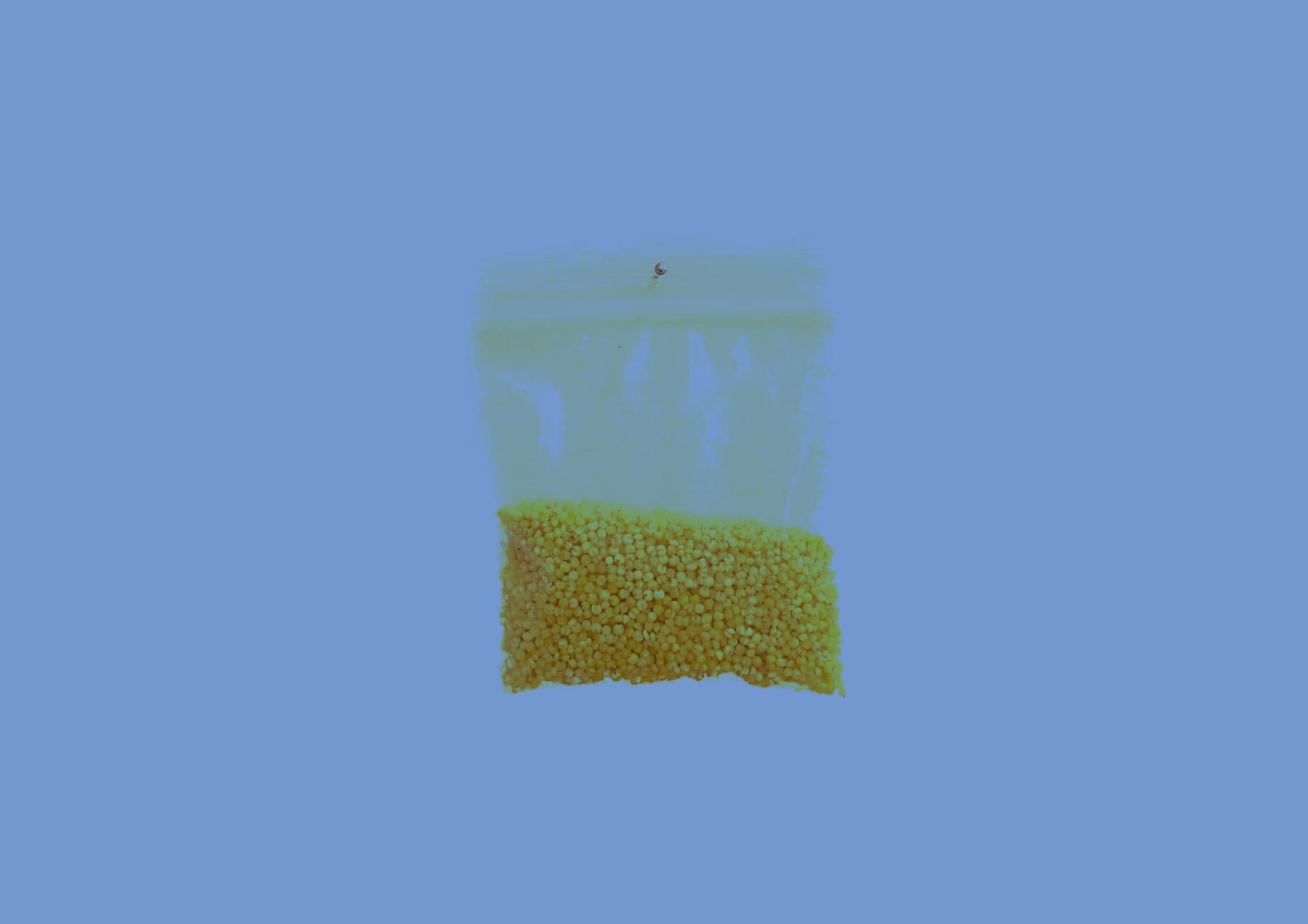Earthly Outcome-Millet