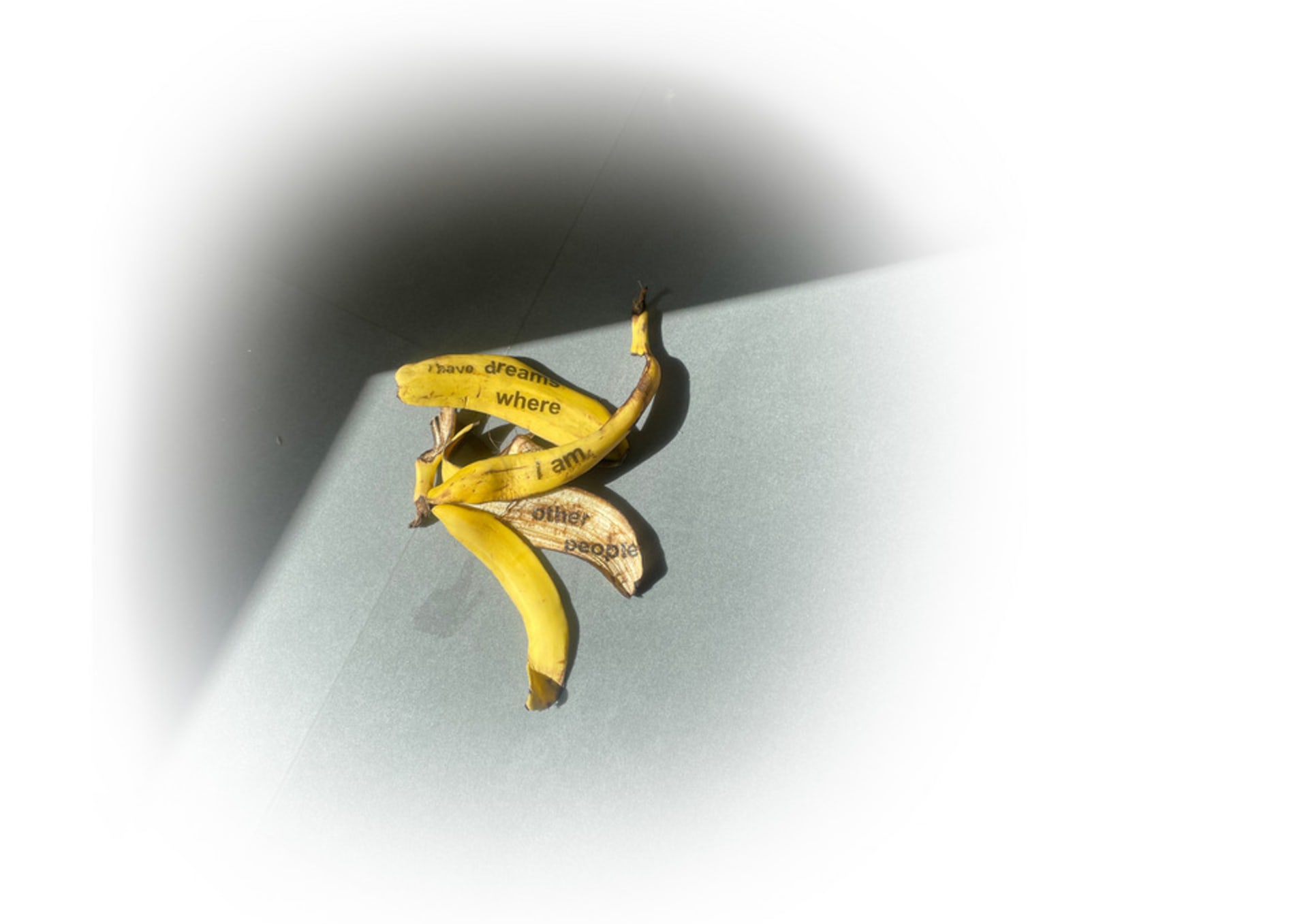 Photo of a banana peel printed "I have dreams where I am other people"