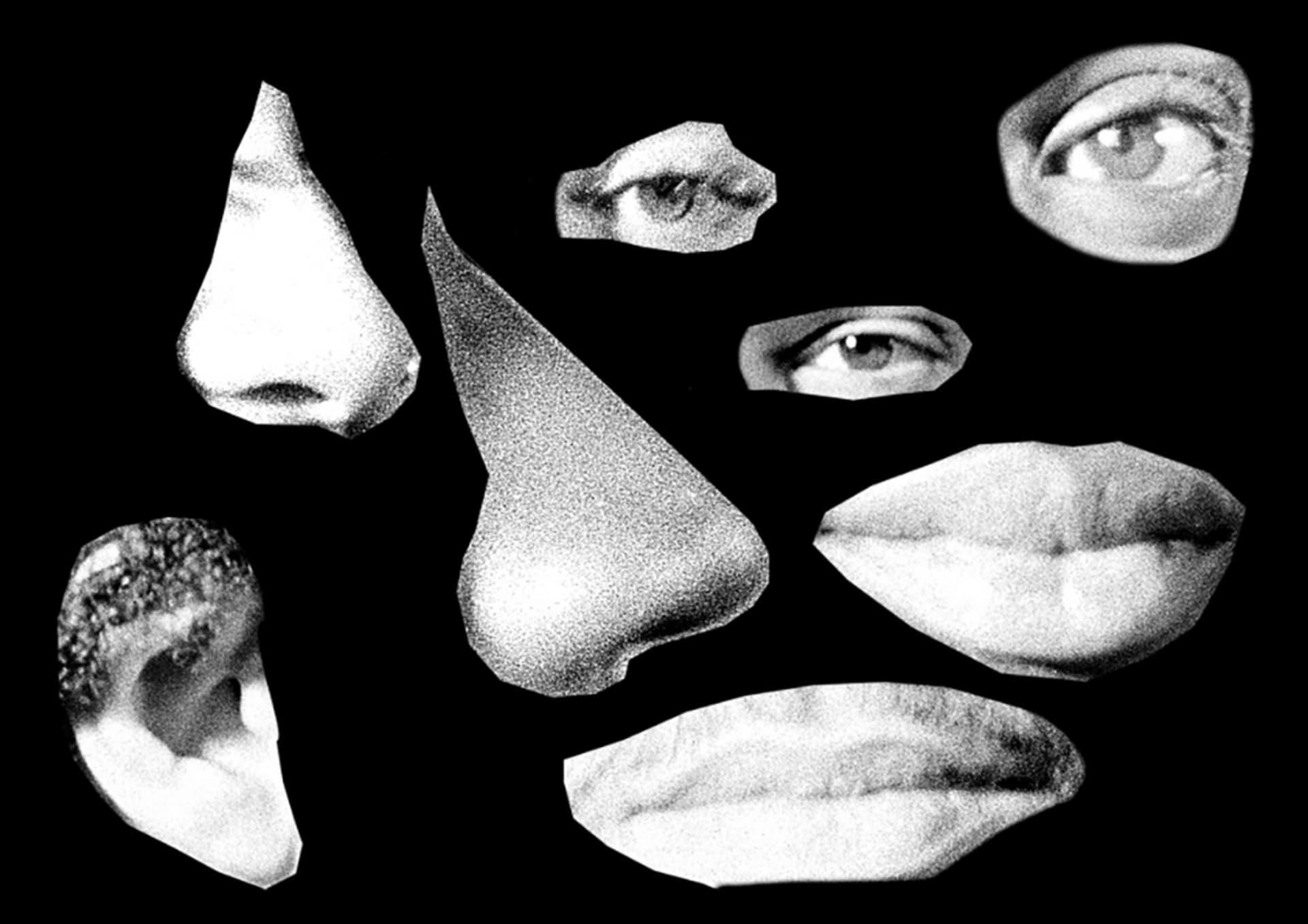 black background with cropped 35mm images of body parts (eyes, ears, mouths, noses)