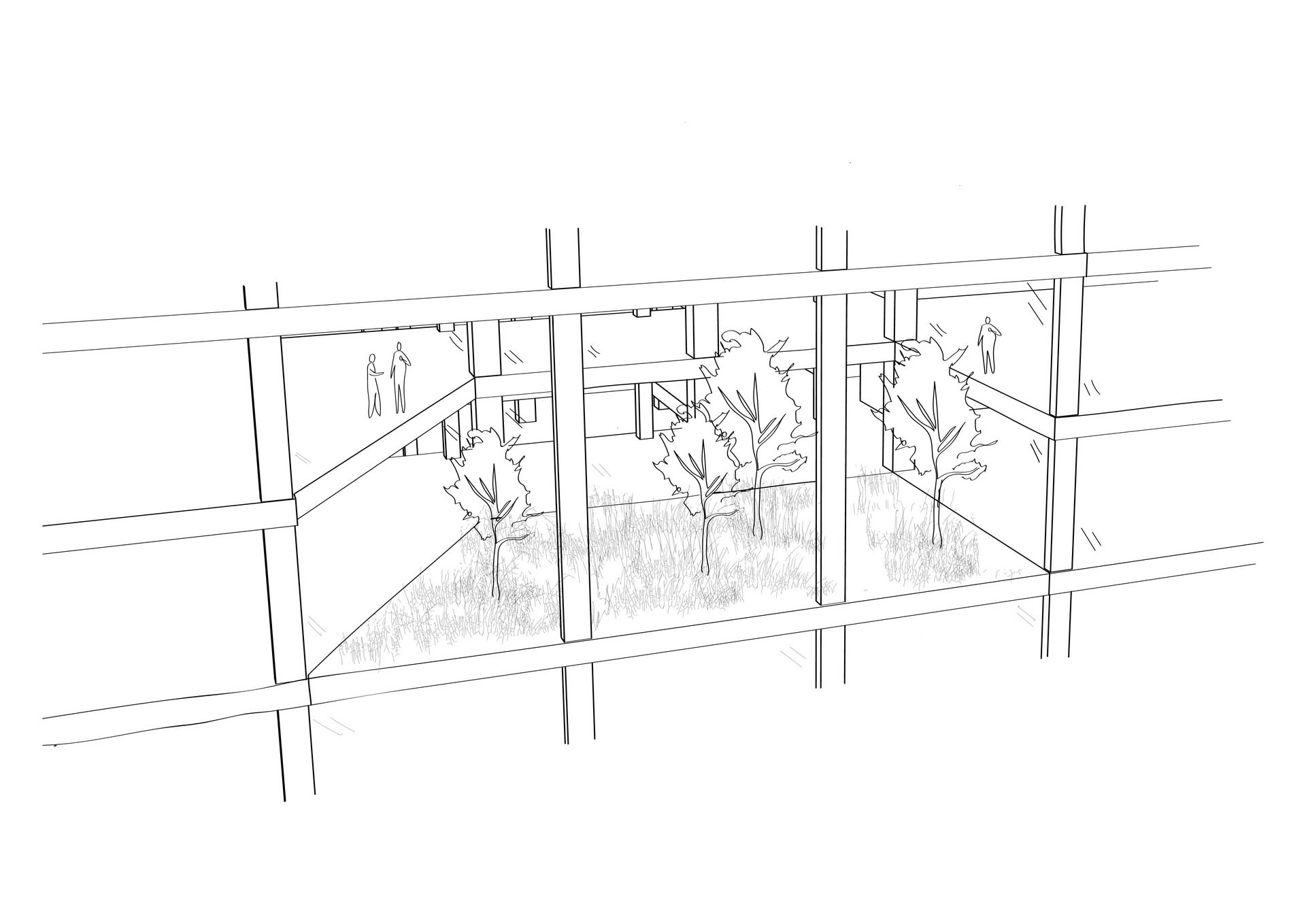 The Tech-Free Garden | Digital Sketch