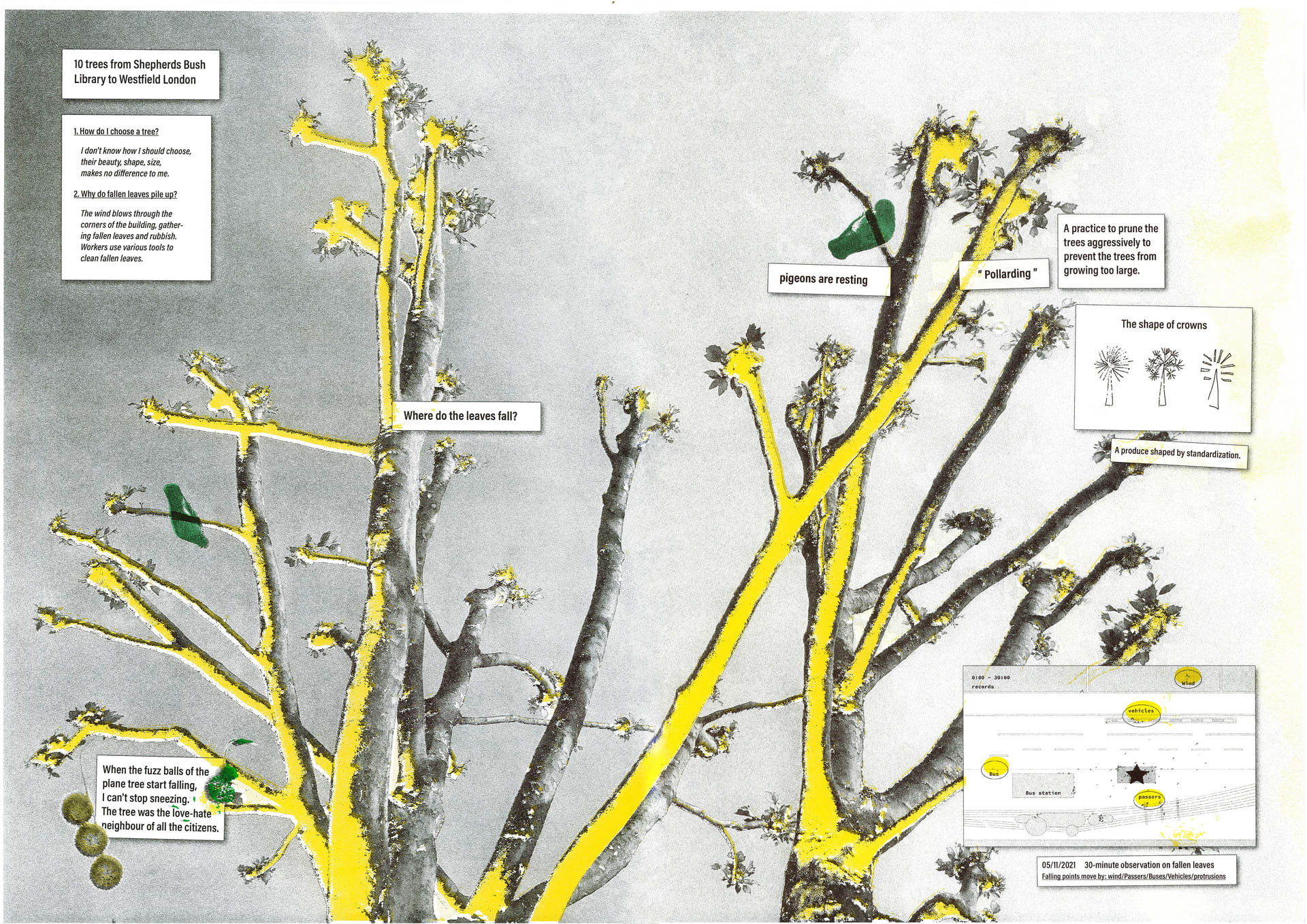 Project 02. The street tree, Printing