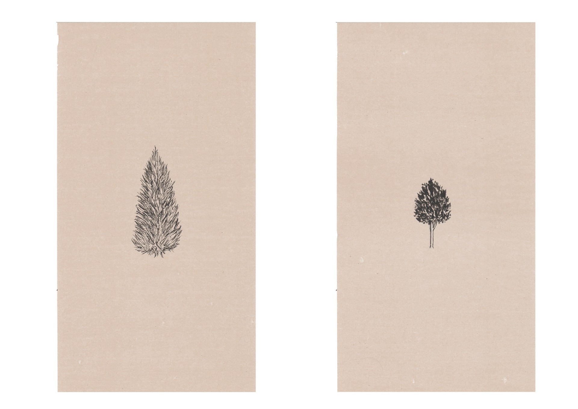 The artworks illustrate the feature of trees from the law case of [2016] UKUT 300 (LC)  