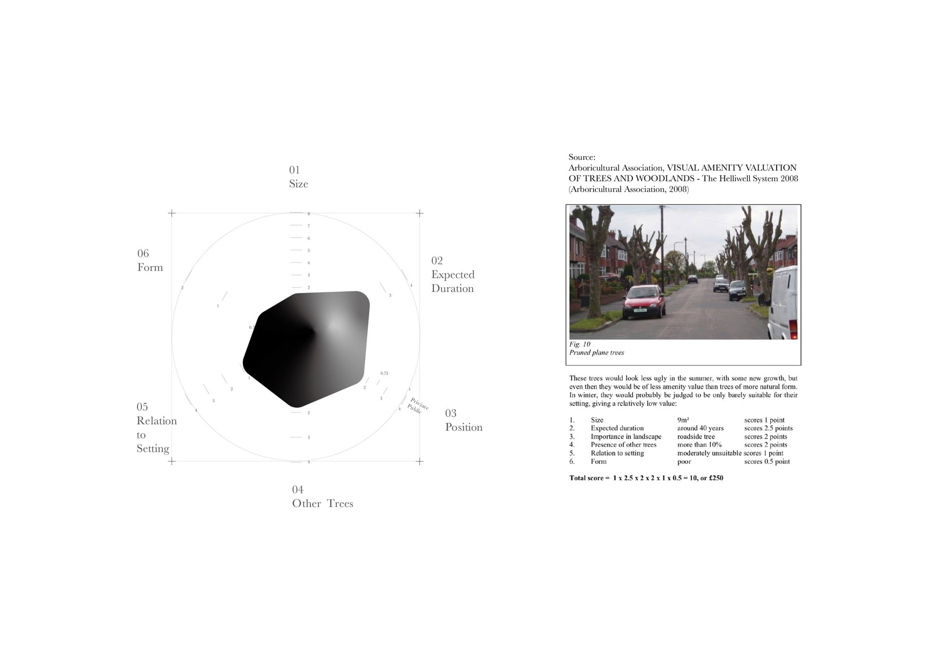 This is the data and information visualization of visual amenity valuation tools redesigned from The Helliwell System for more effective communication purposes. I used this methodology to create the s