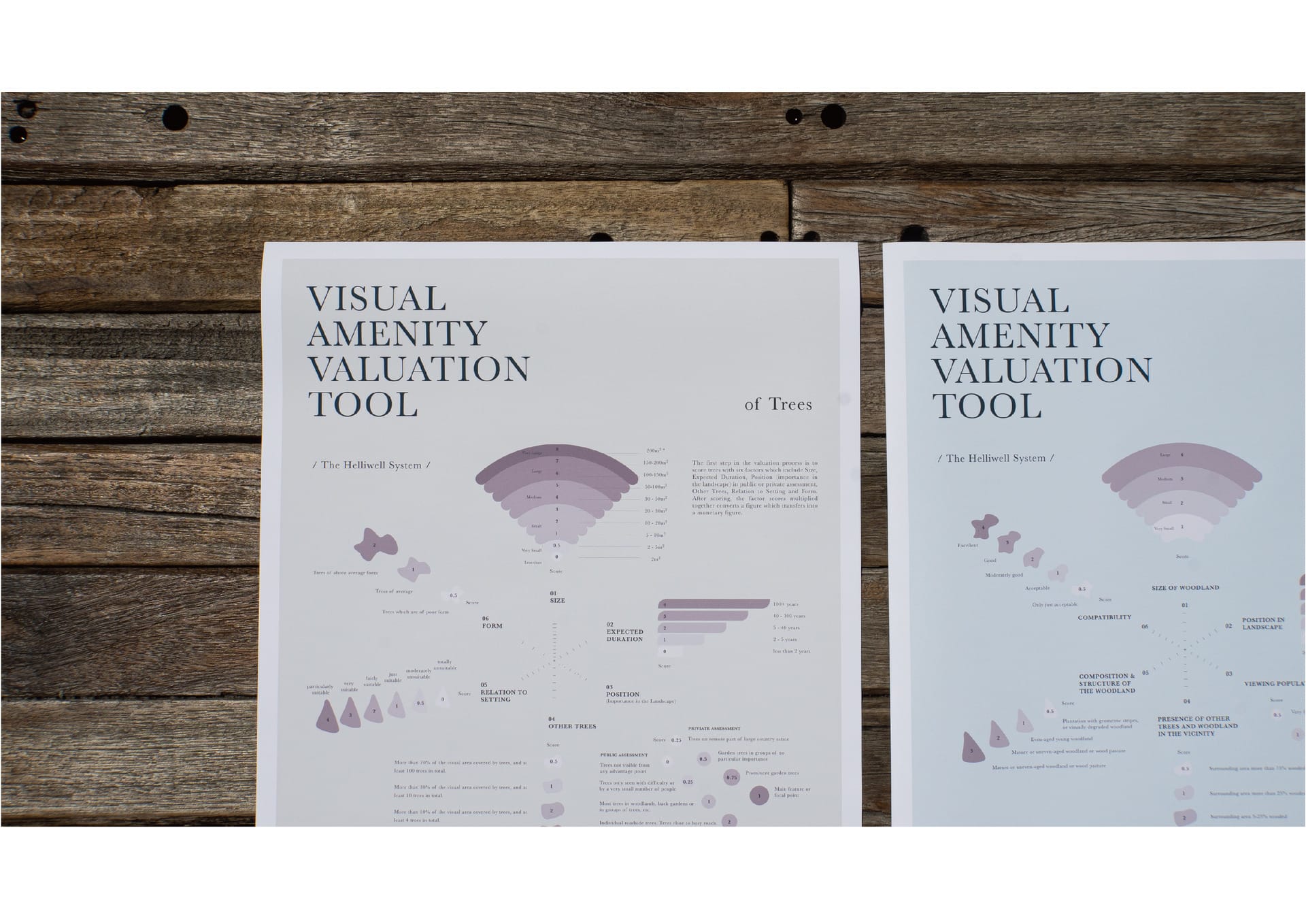 Data and information visualization of Helliwell System’s Visual Amenity Valuation Tool