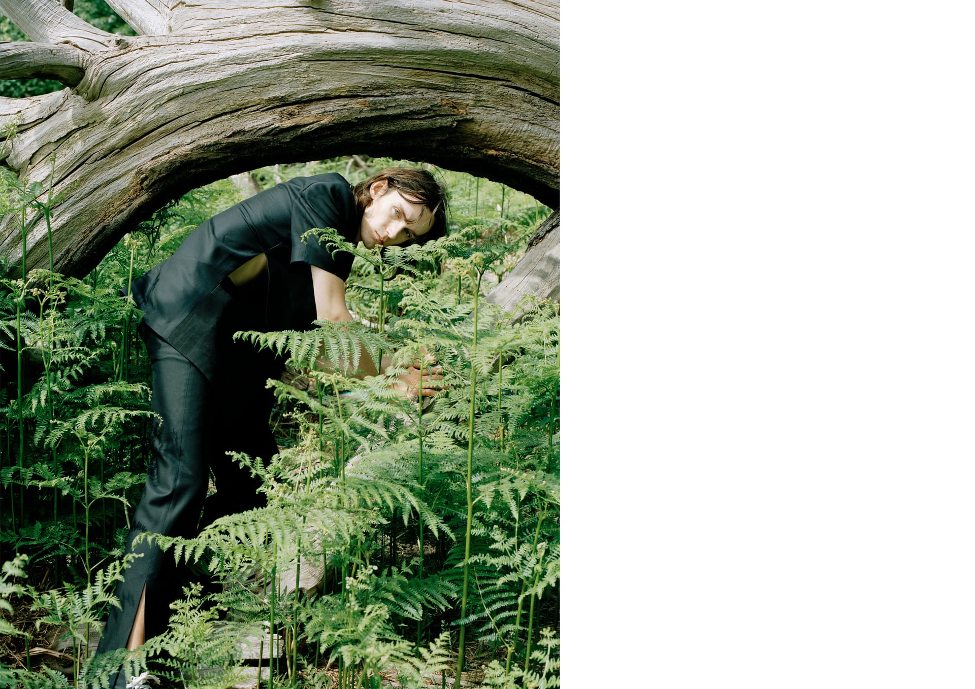 LOOKBOOK, media item 5