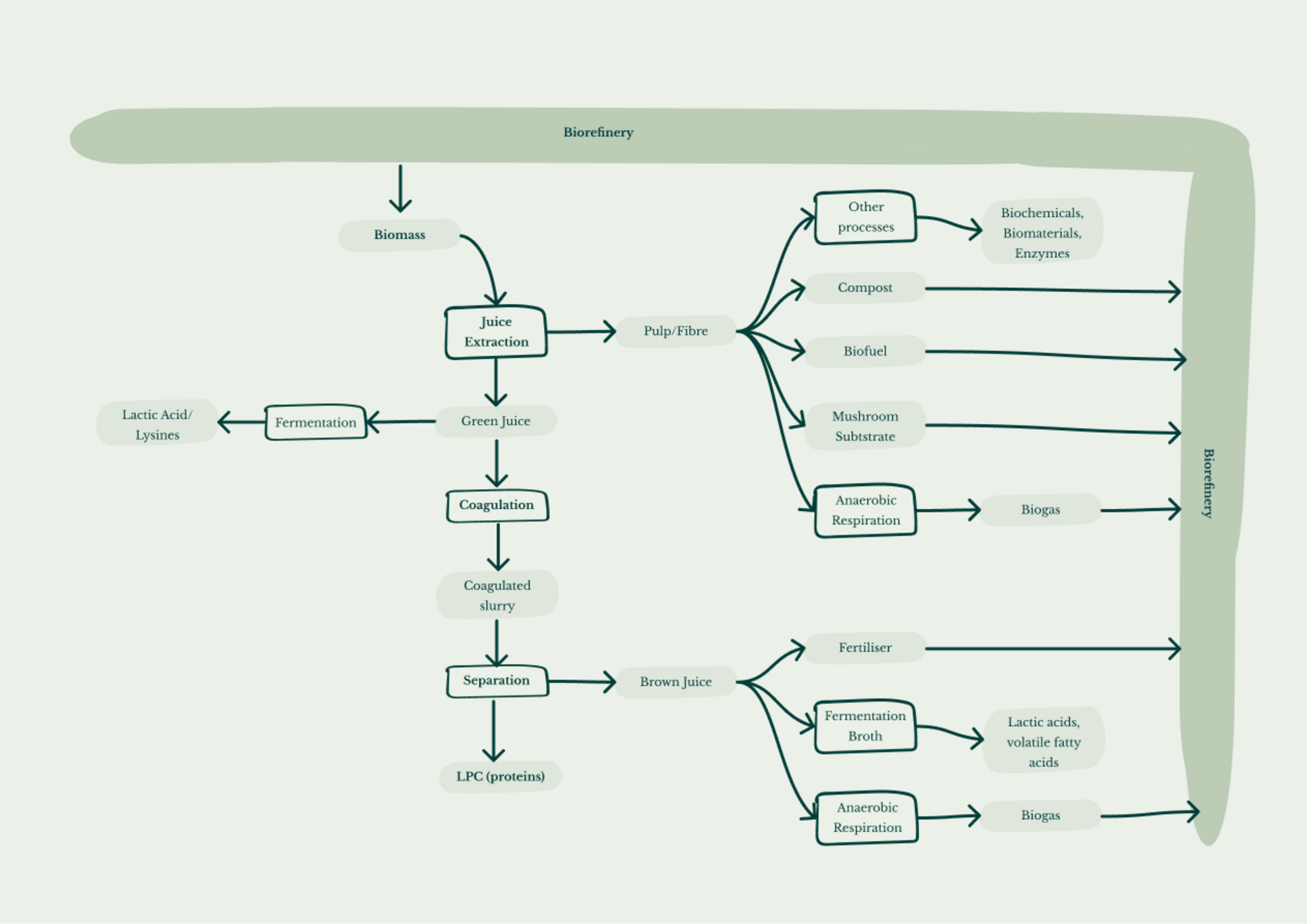 A diagram showing the bio refinery system of LPC production