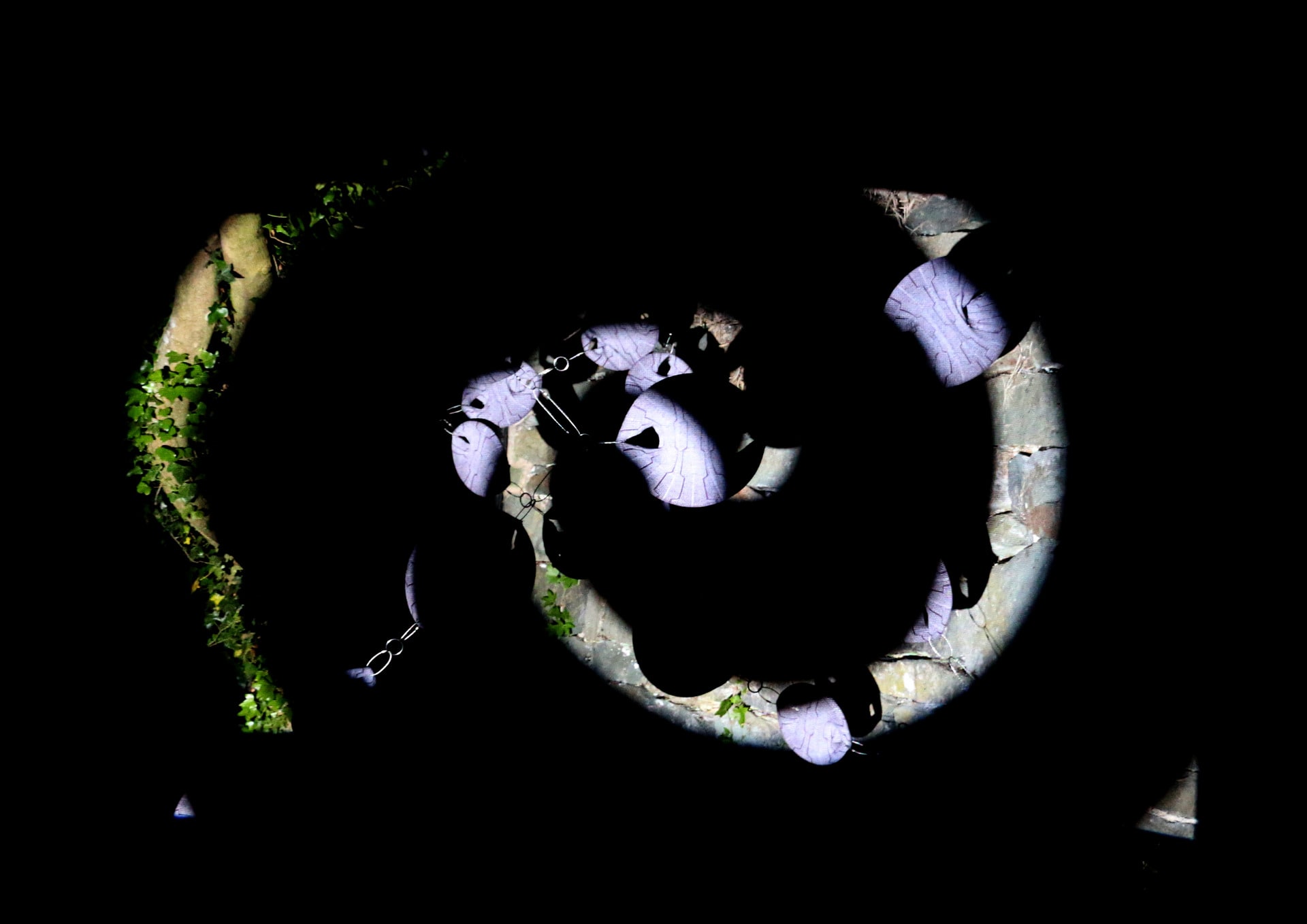 circular projections