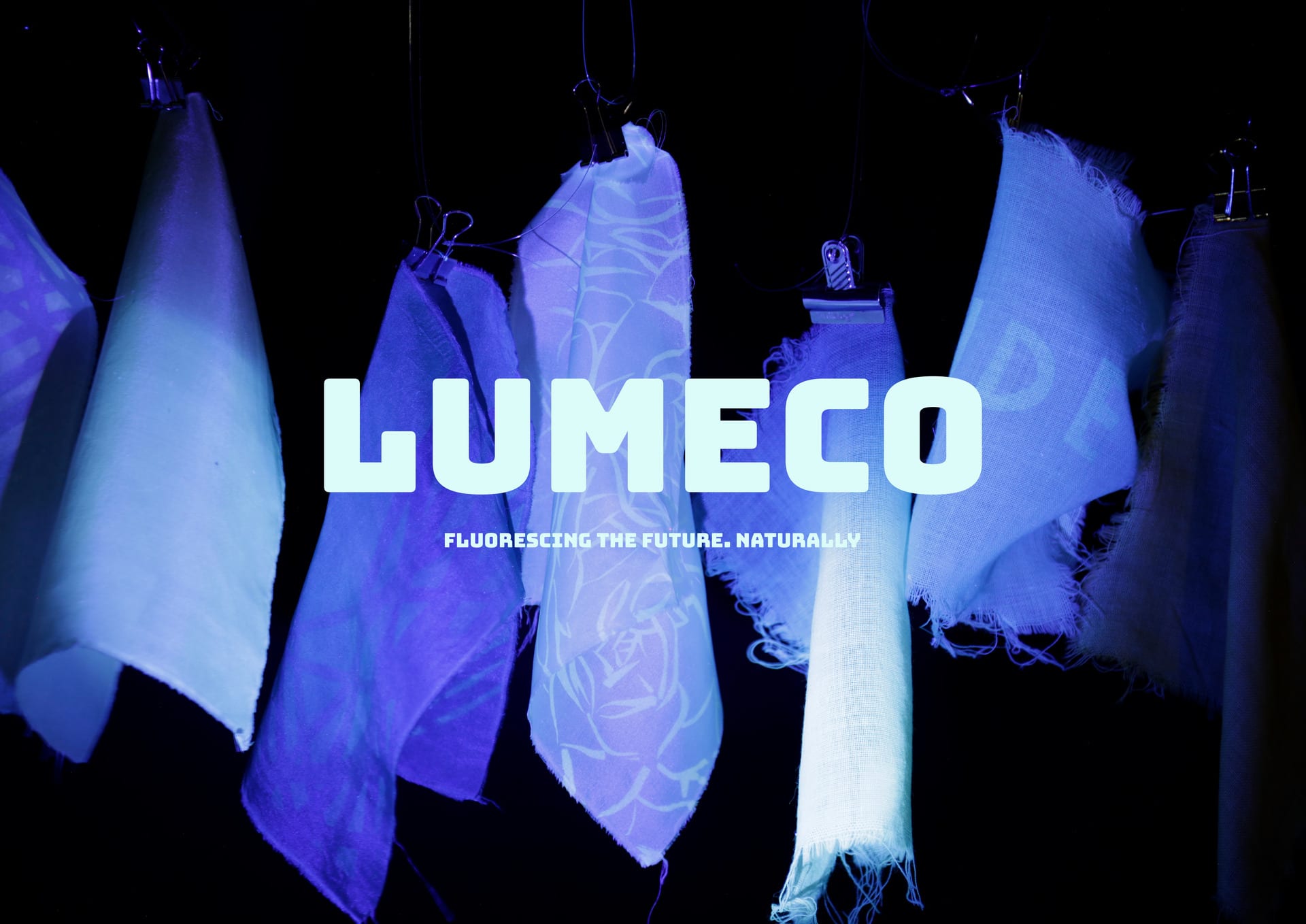 Lumeco cover image