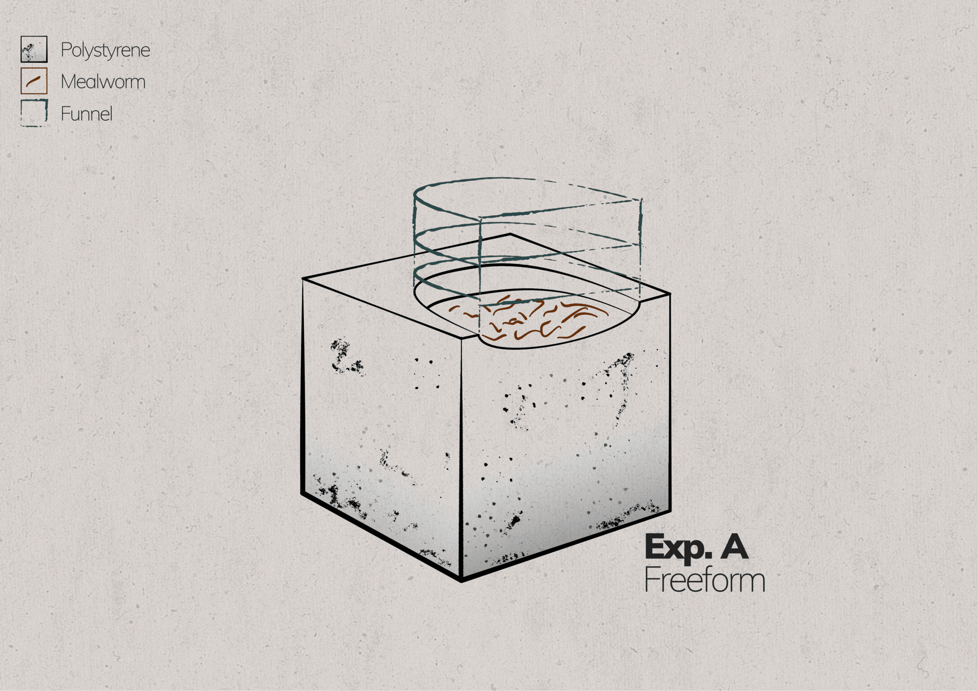 Exp A